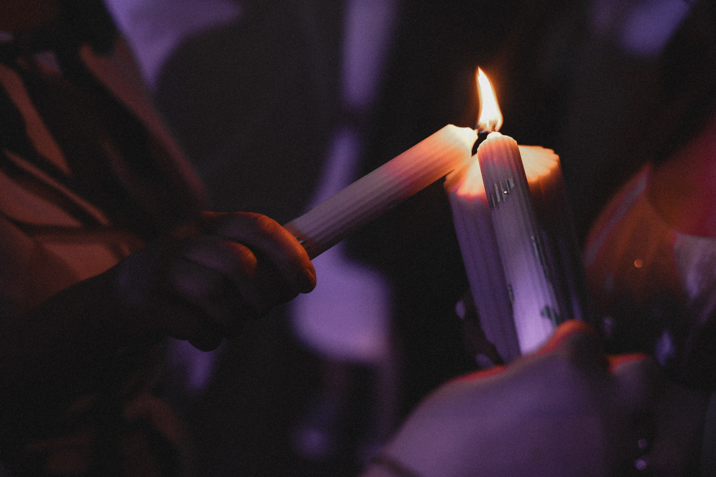 Lilu. Свадебный фотограф в Ярославле Илья Жуков