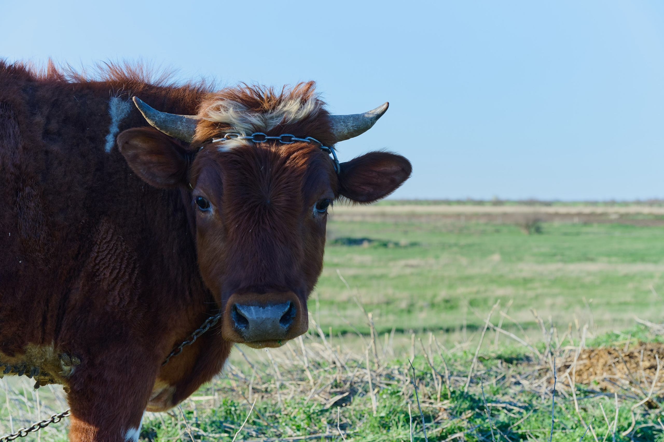 Мелитополь. Фотопроект «Территории»