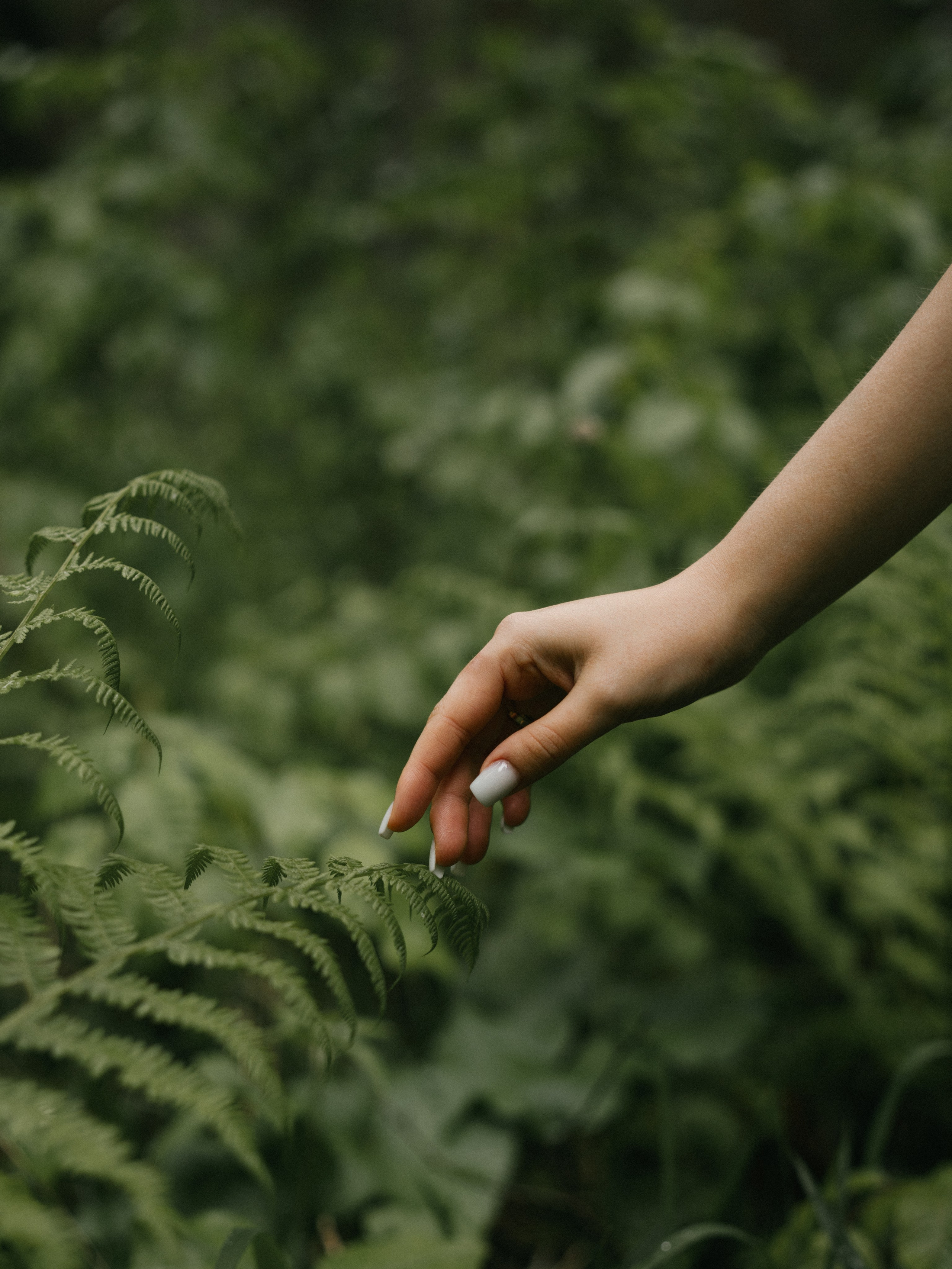 Съемка Love story (лавстори) Кирилла и Кристины. Свадебный фотограф Ирина Беляева Пятигорск|Кисловодск|Эльбрус|Домбай