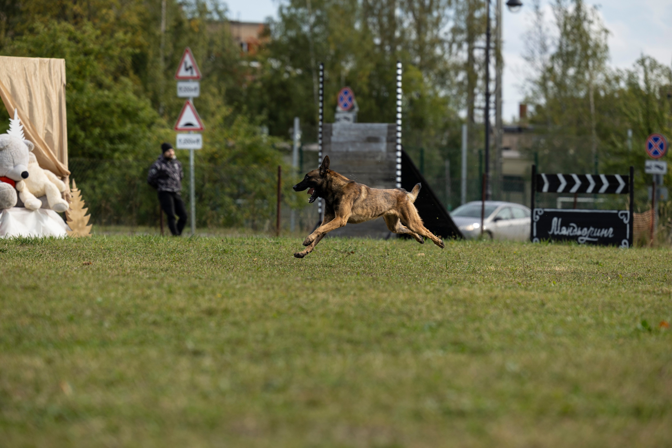Испытания по Мондьорингу г. Пушкин. Фотограф-анималист Анна Маринич