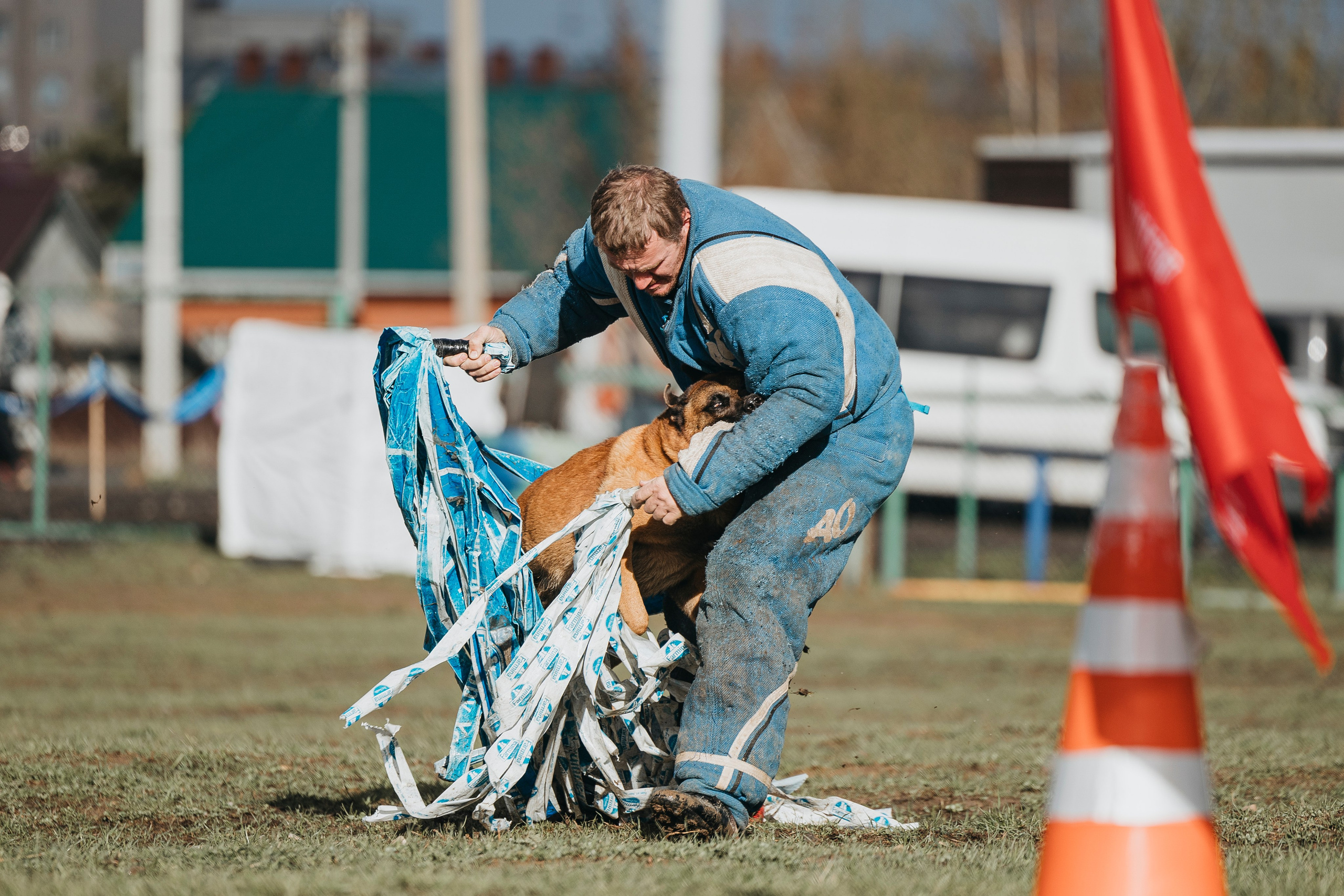 09.05.25 Вологда соревнования. Фотограф-анималист Анна Маринич