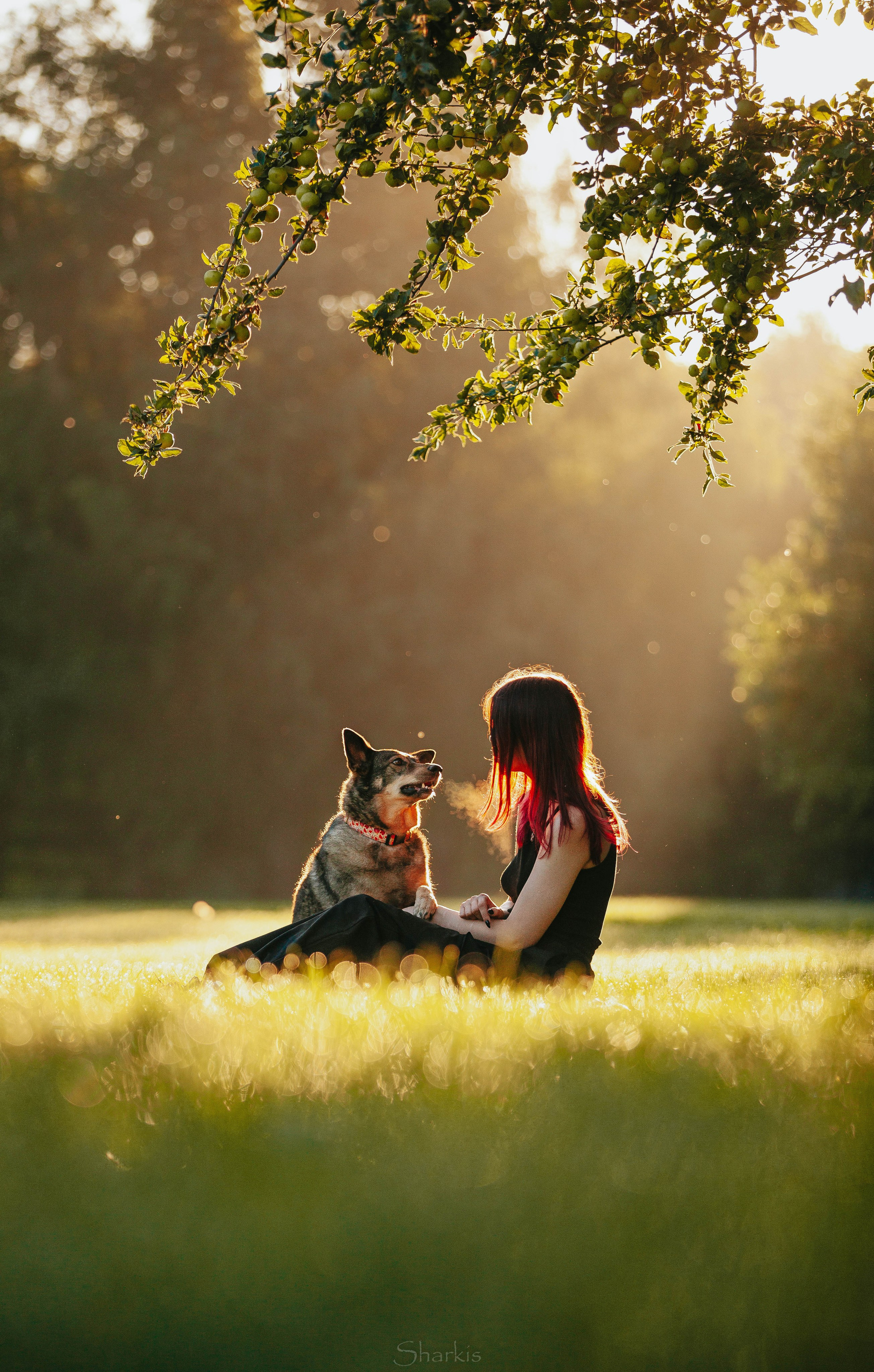 Вега и Гриша. Главная