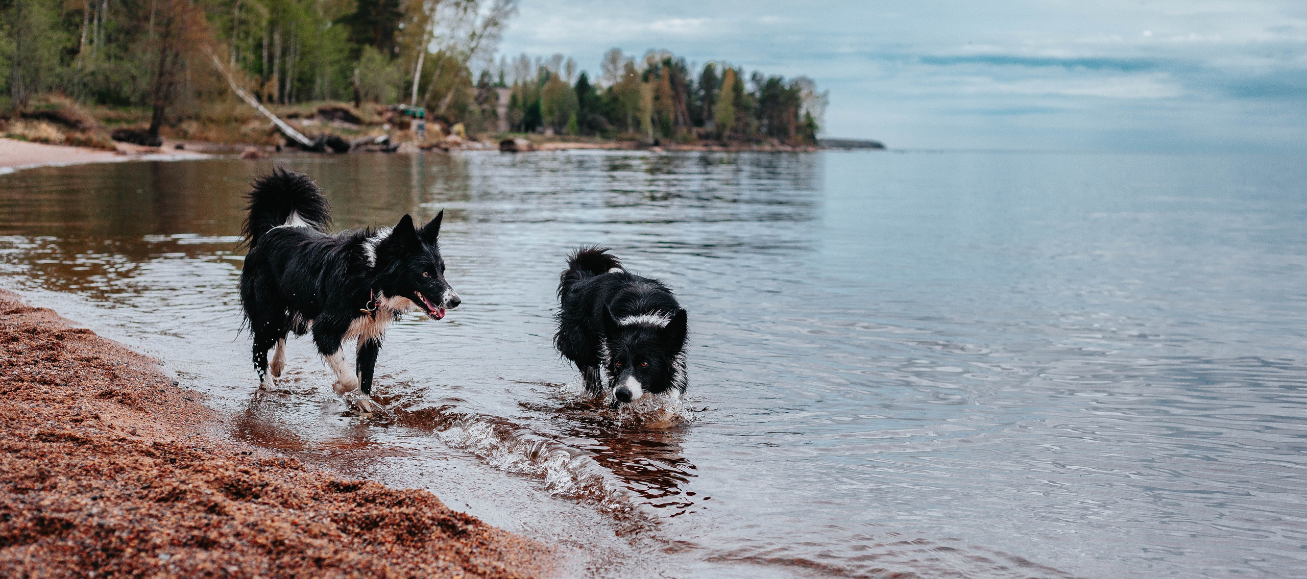 Кида и Сирша. Главная