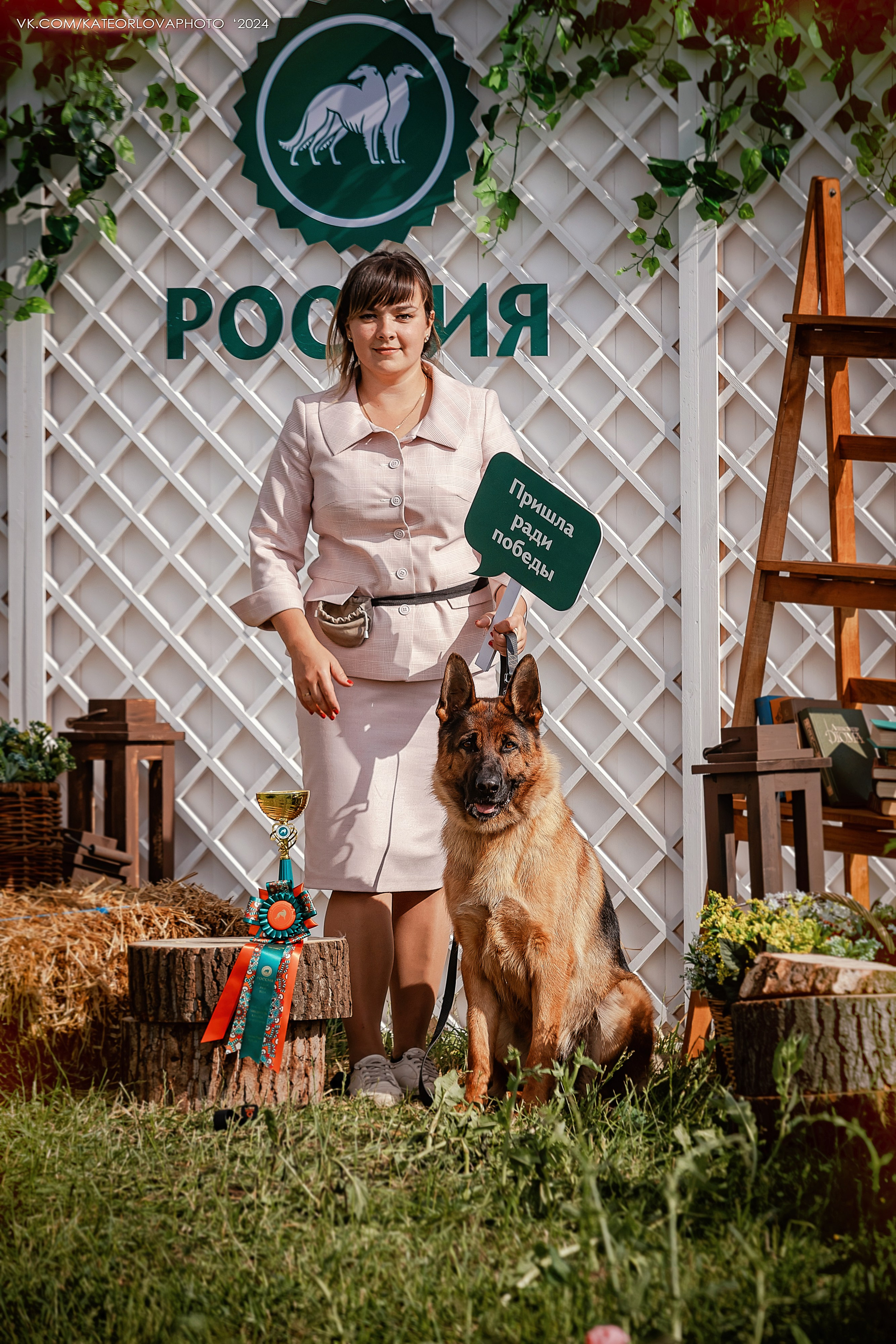 Фотосъемка собак, щенков, на выставках, фотограф анималист Россия воронеж. Питомник собак Акита, Хаски, Корги