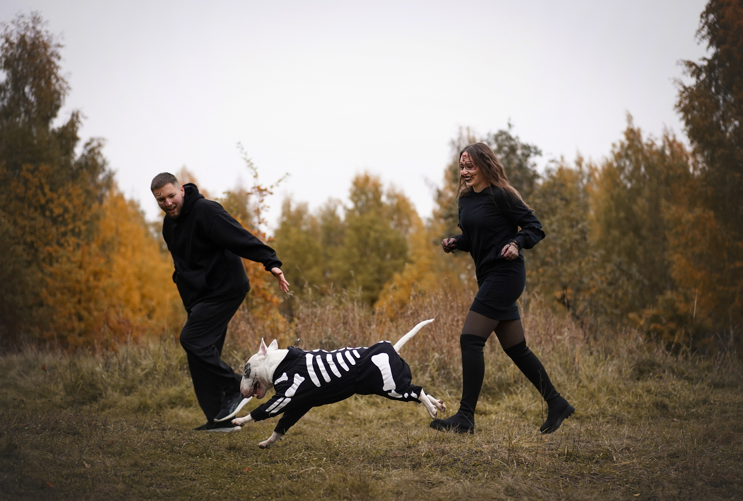 Настя Рома и Сахар Хелоуин. Фотограф-анималист в Санкт-Петербурге Яна Мартынова