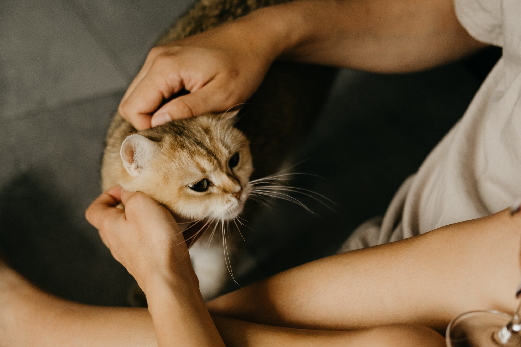 Диана и Леша. Свадебный фотограф Александра Тюлякова