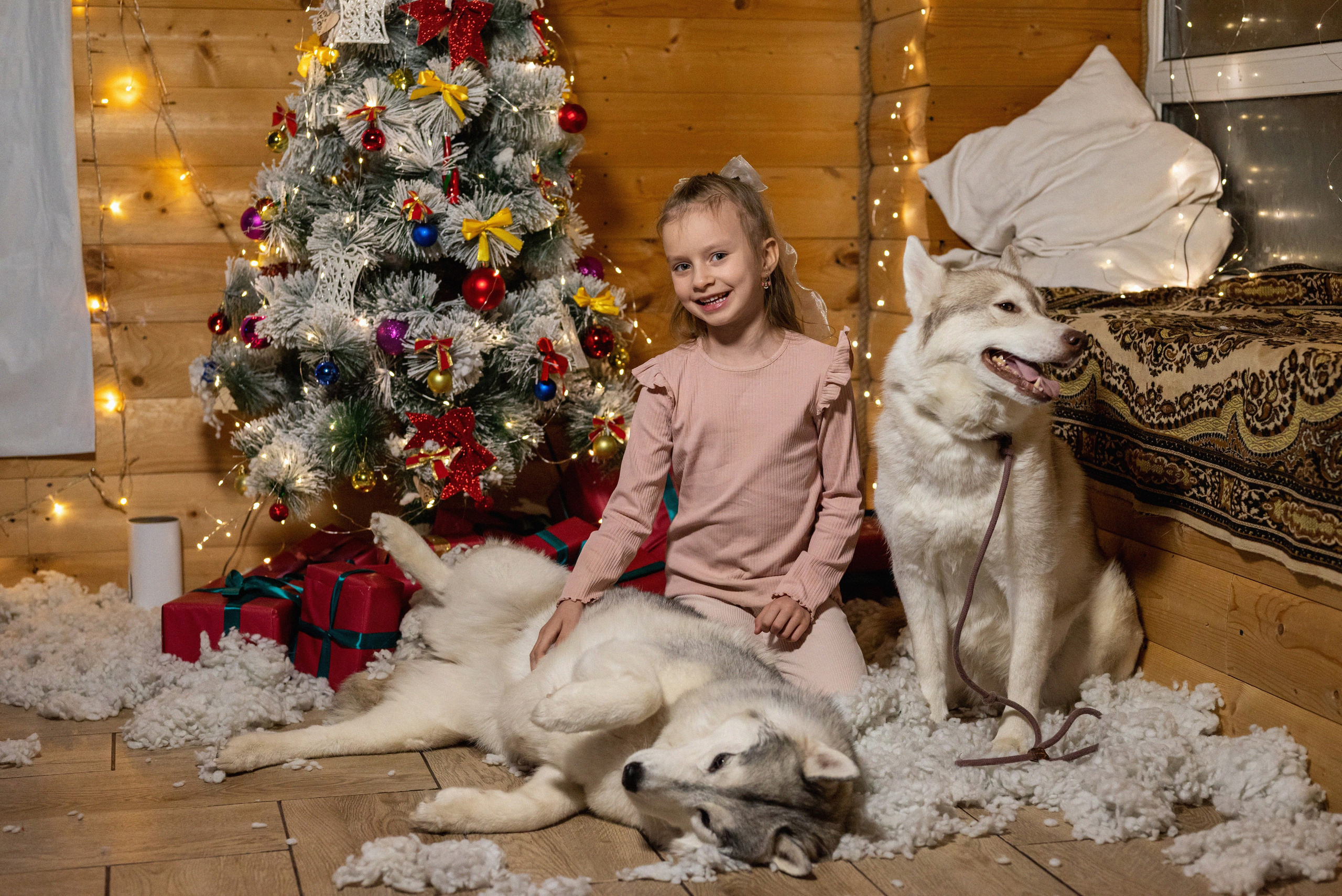 Фотопроект с хаски 2024 г. Фотограф в городе Салават