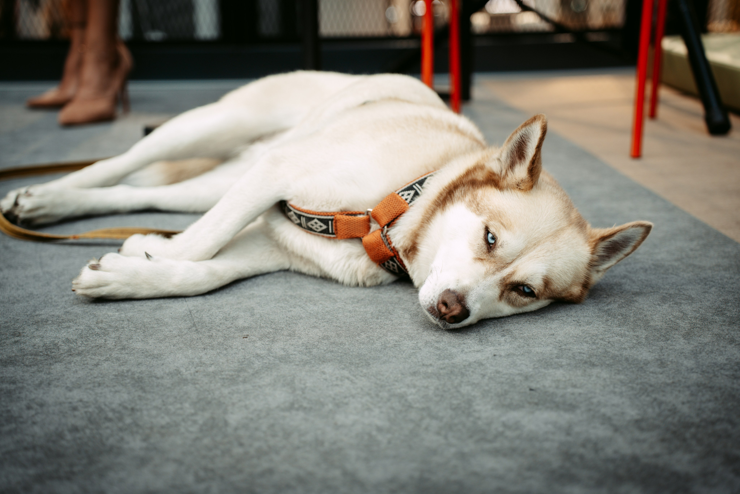 День рождения Арт-центра. Главная