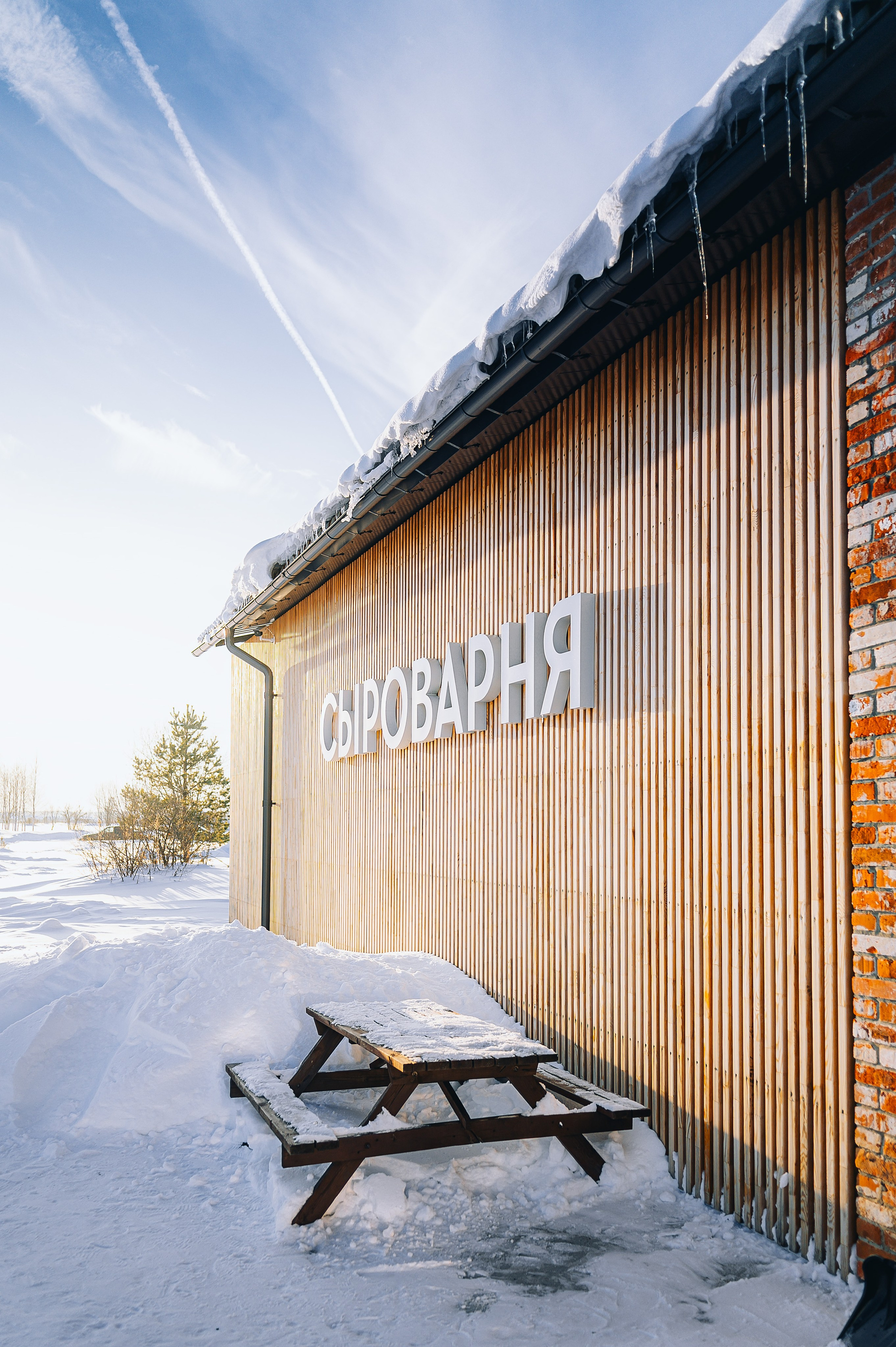 База отдыха «Заазяково», Марий-Эл, февраль 2024. Фотограф Александр Золотых