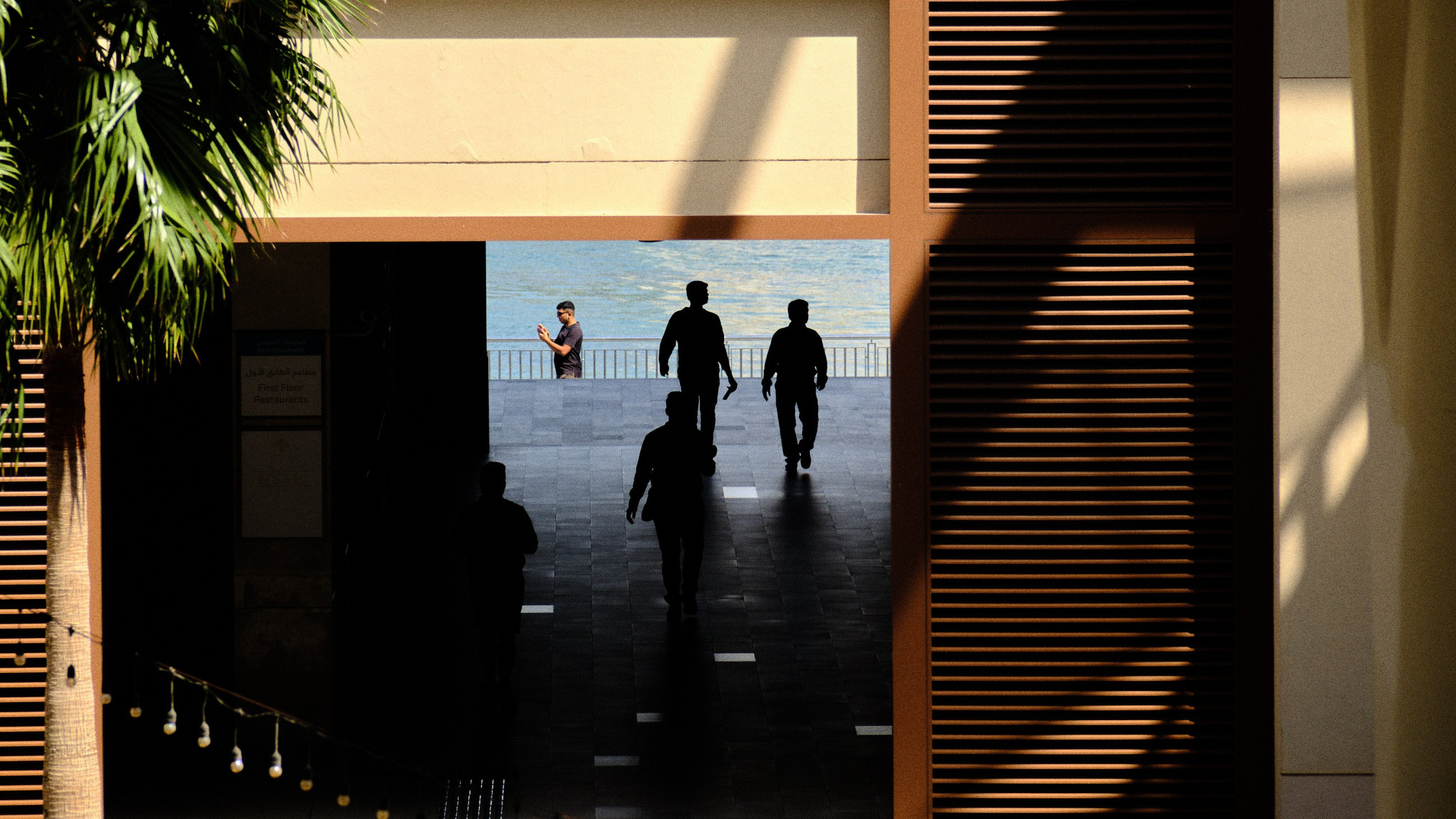 Оман. ОАЭ. Катар. Бахрейн. Юрий Березнюк. Фотожурналистика