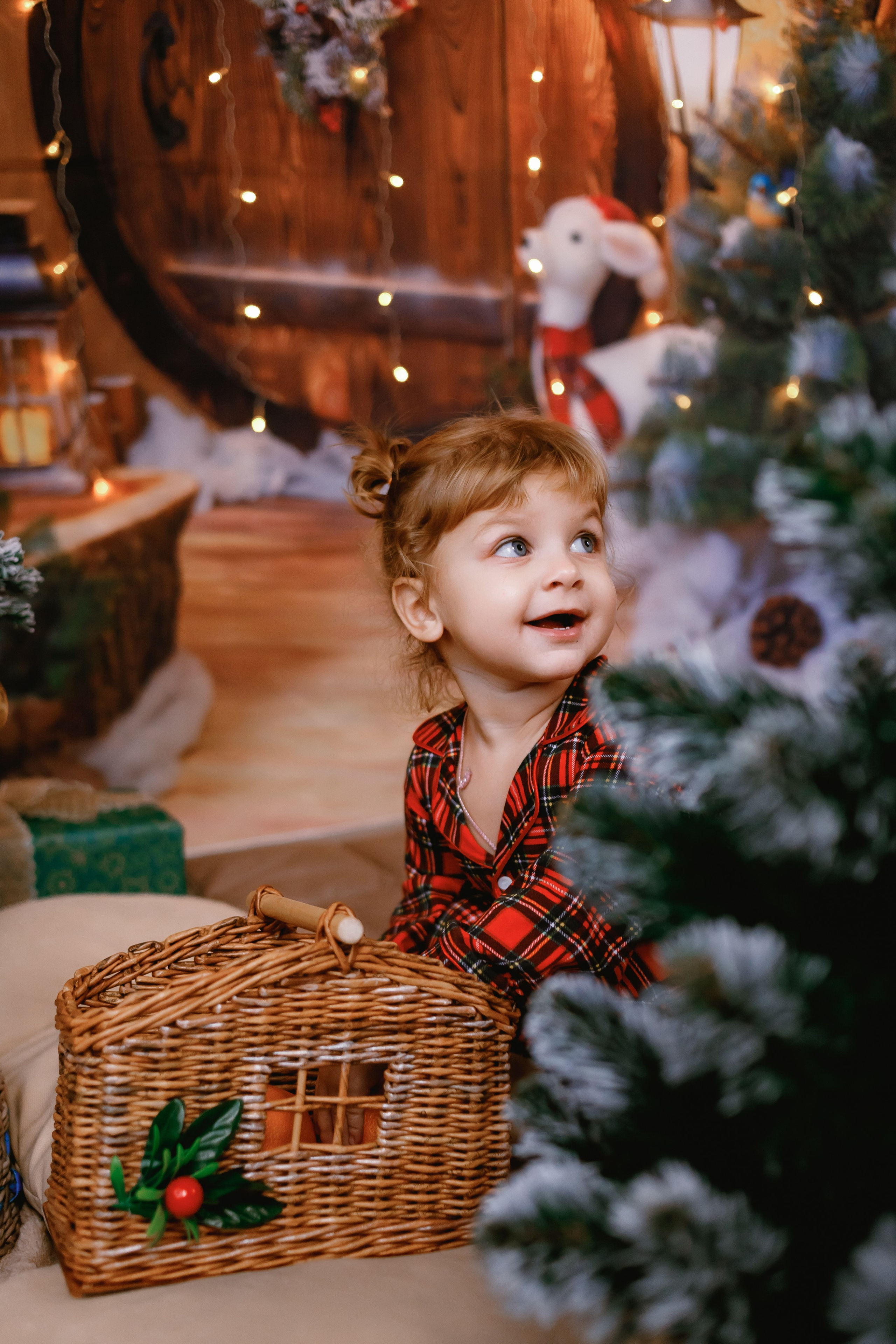 Новогодние фотосессии в студии