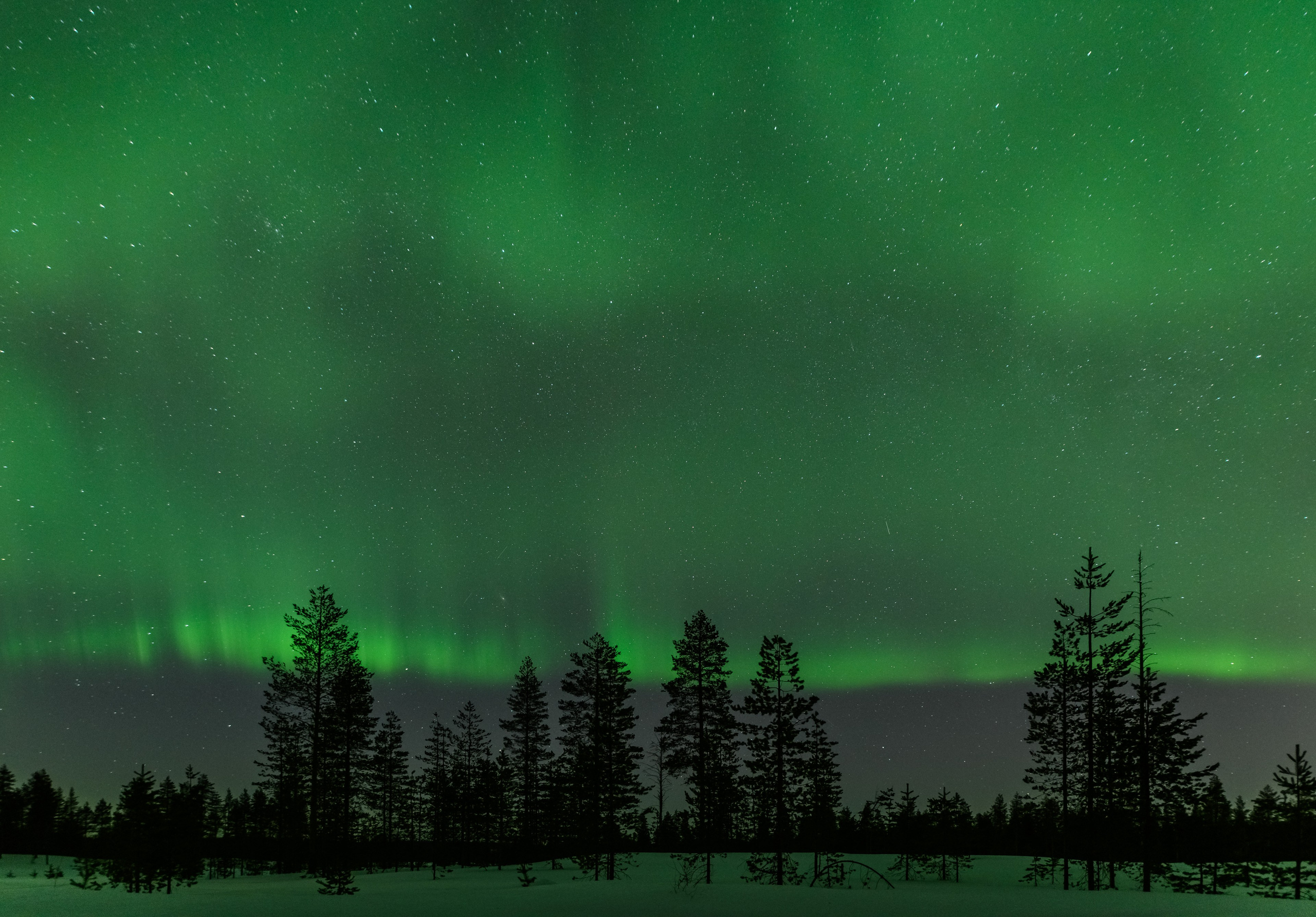 Зима. Северные Ночи