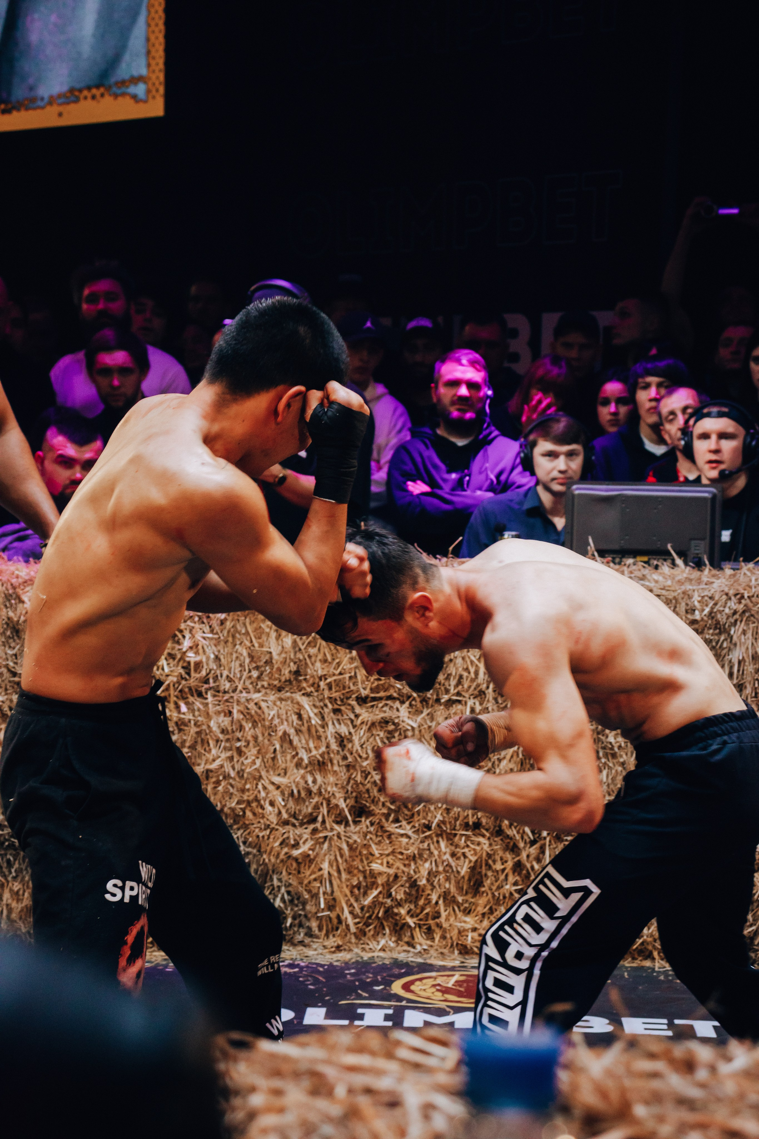 Кулачные бои TopDog. Анастасия Тен