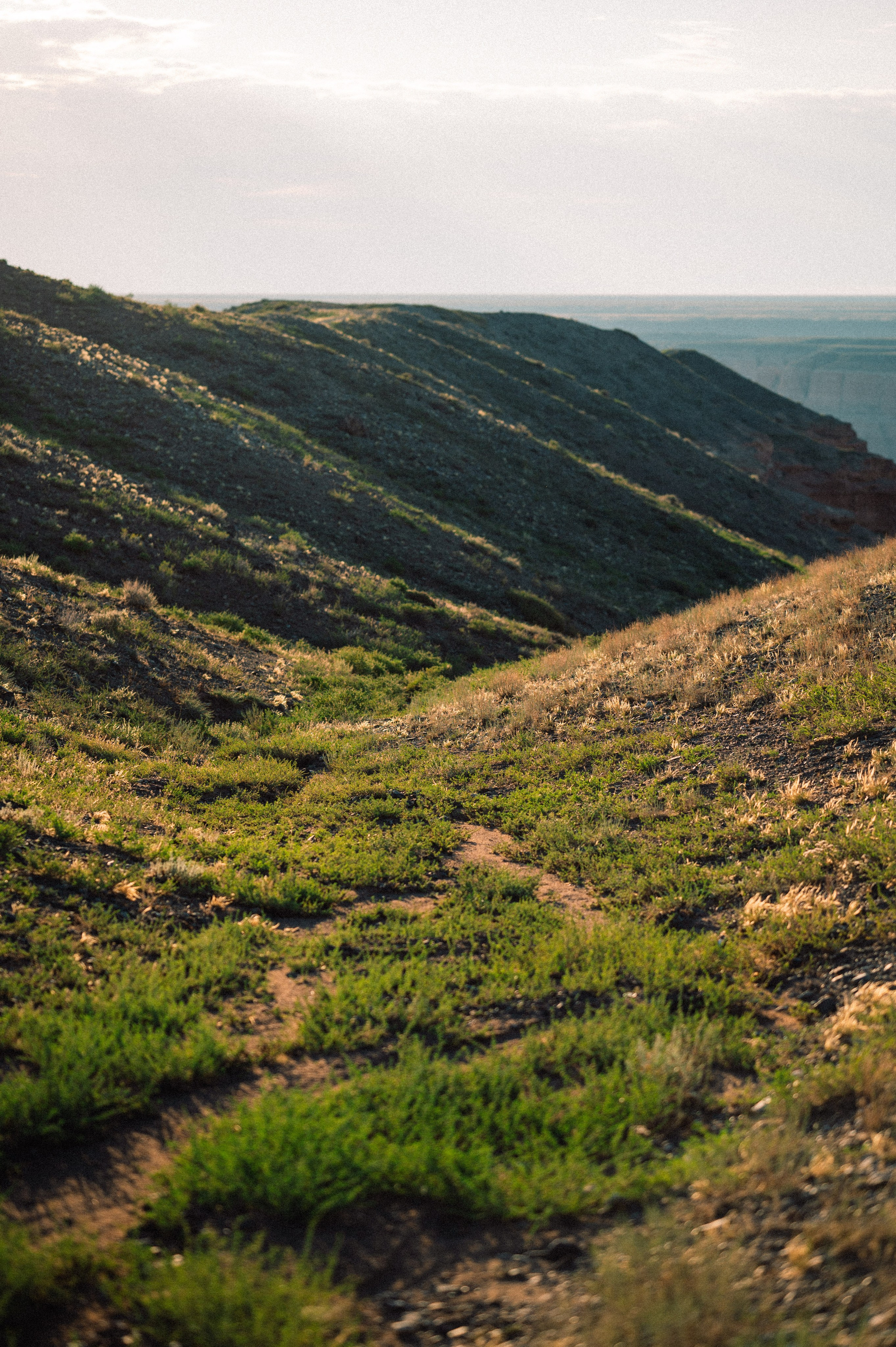 Чарын-Кольсай: лето 2024. Фотограф в Алматы — Дарья Фёдорова