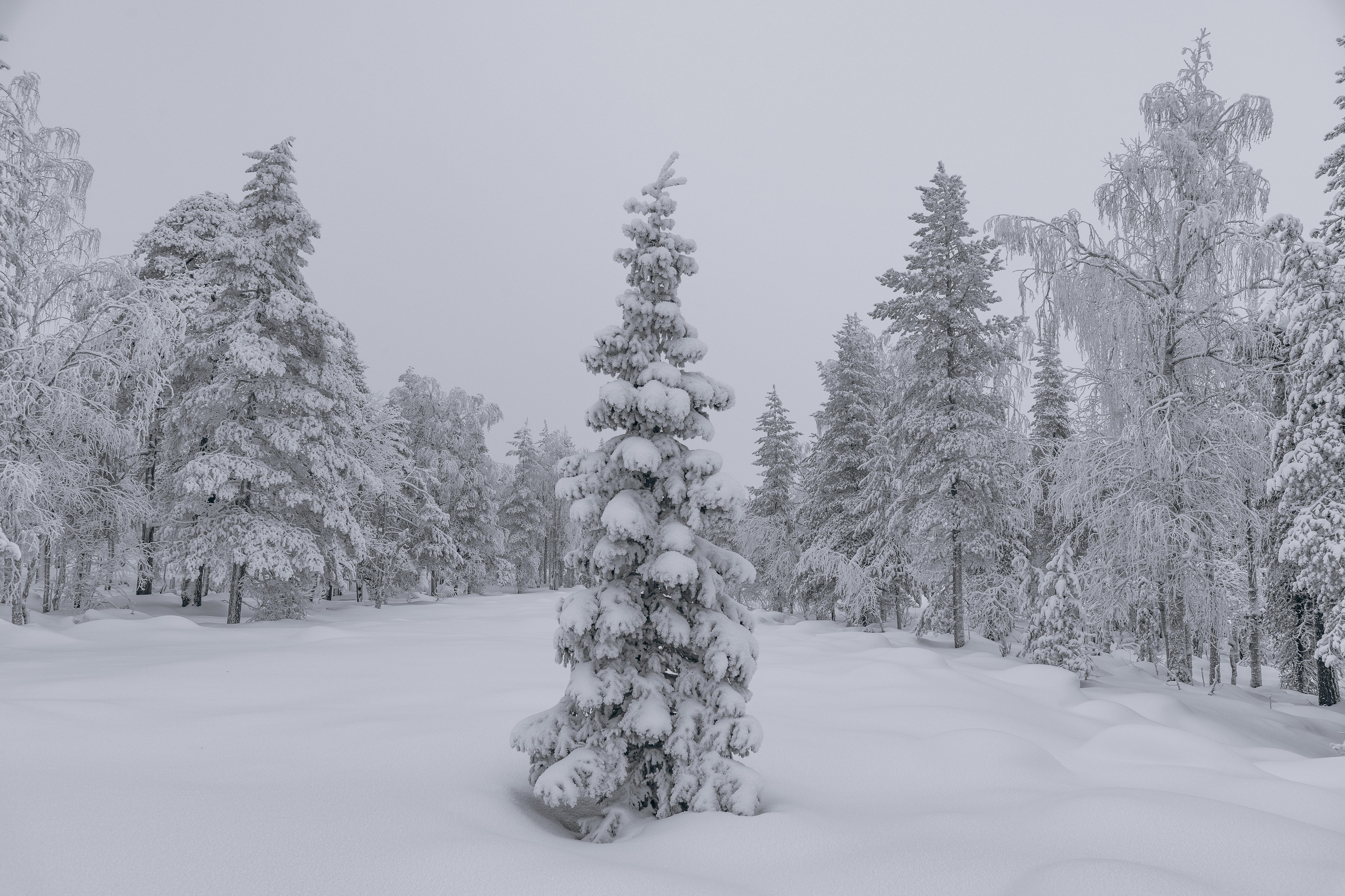 Зима. Северные Ночи