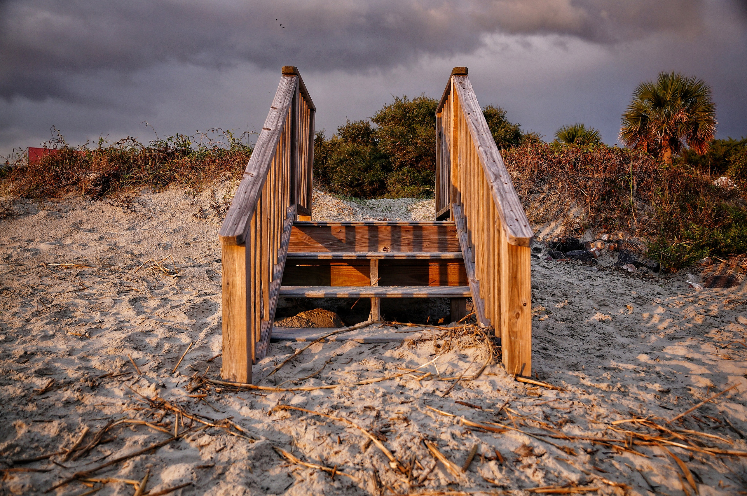 Shore Thing. Мои фото
