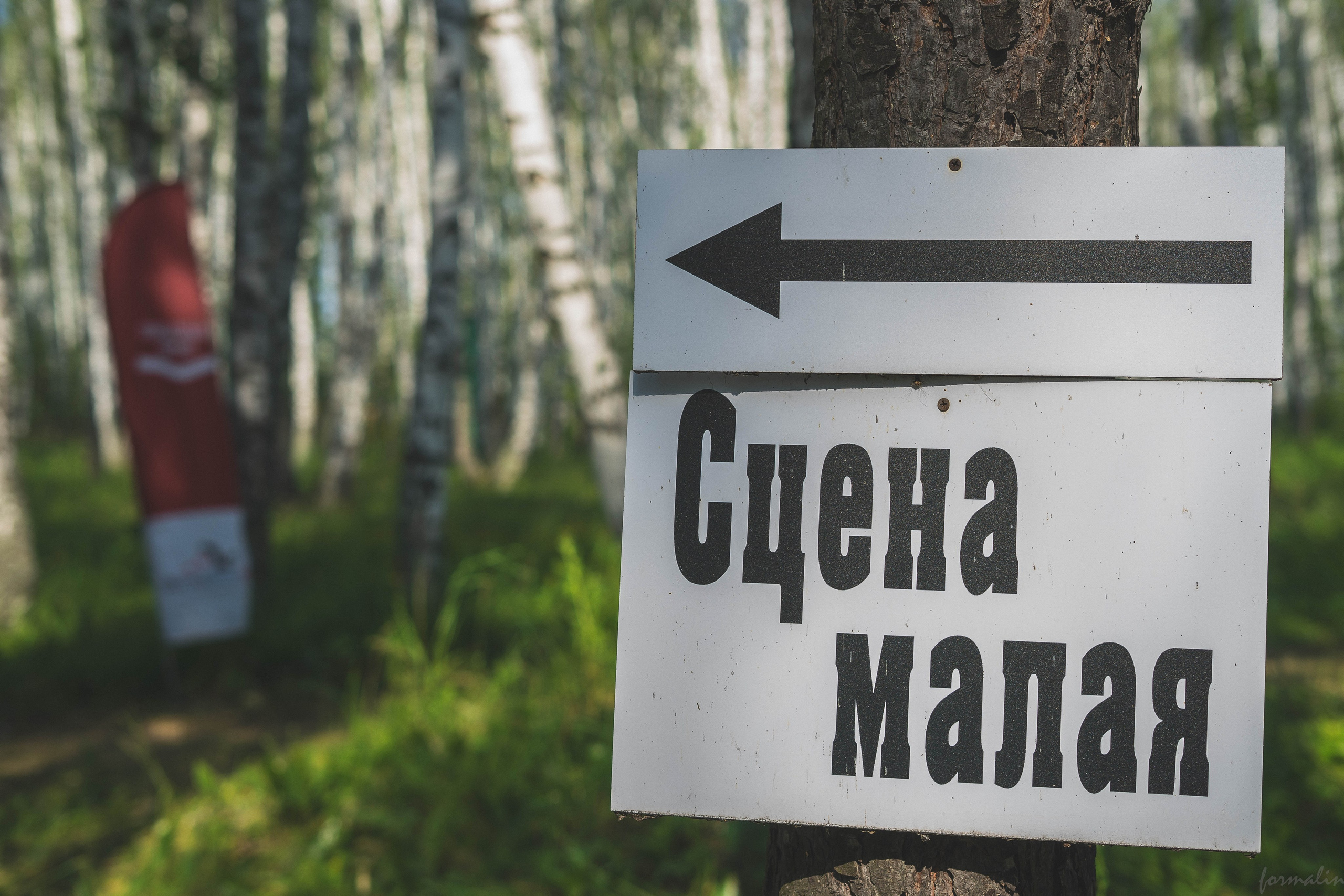 Всероссийская школа поисковика «Поисковый фронт». Алиса Никитцова | Фотограф в Казани