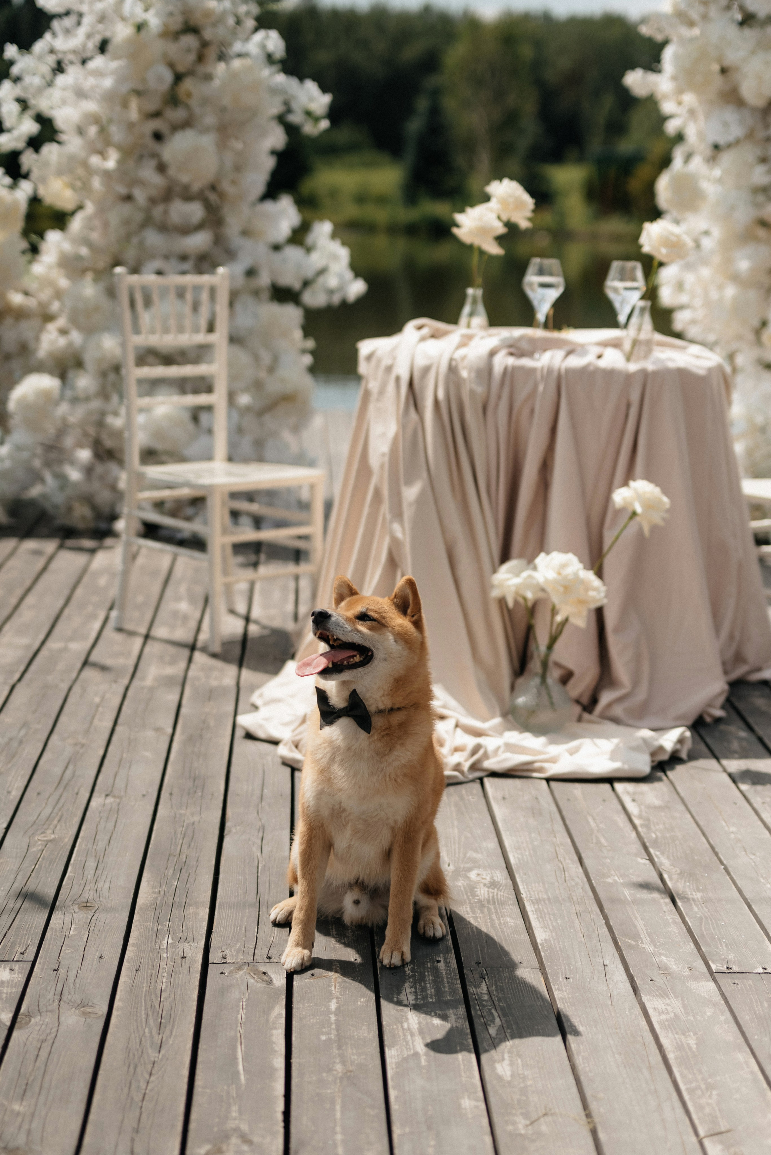 Янина и Семен. Свадебный и портретный фотограф в Минске Татьяна Лобода