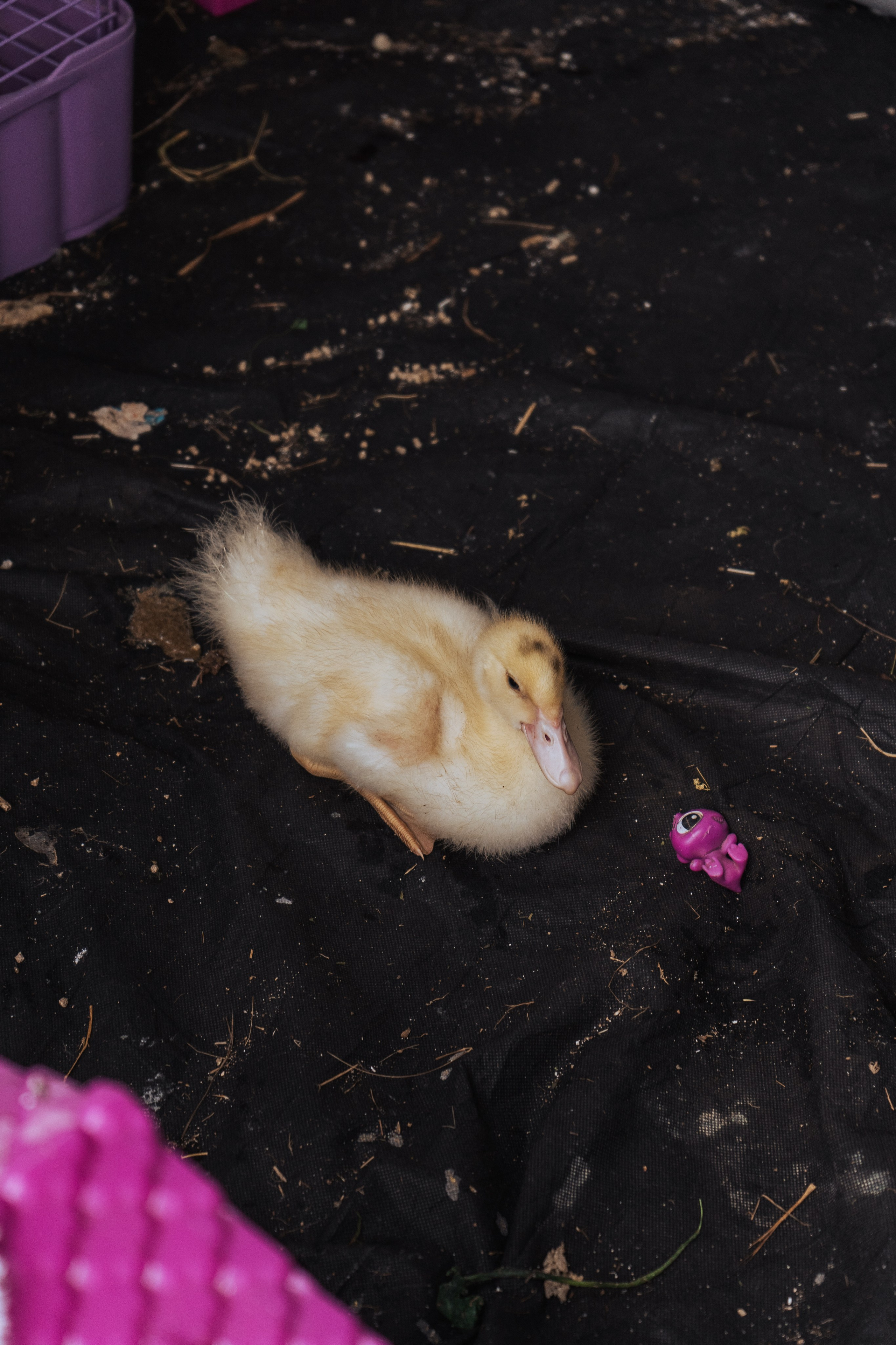 Ретрит от т-центра Псайторий 2024. Портретный фотограф Нижний Новгород