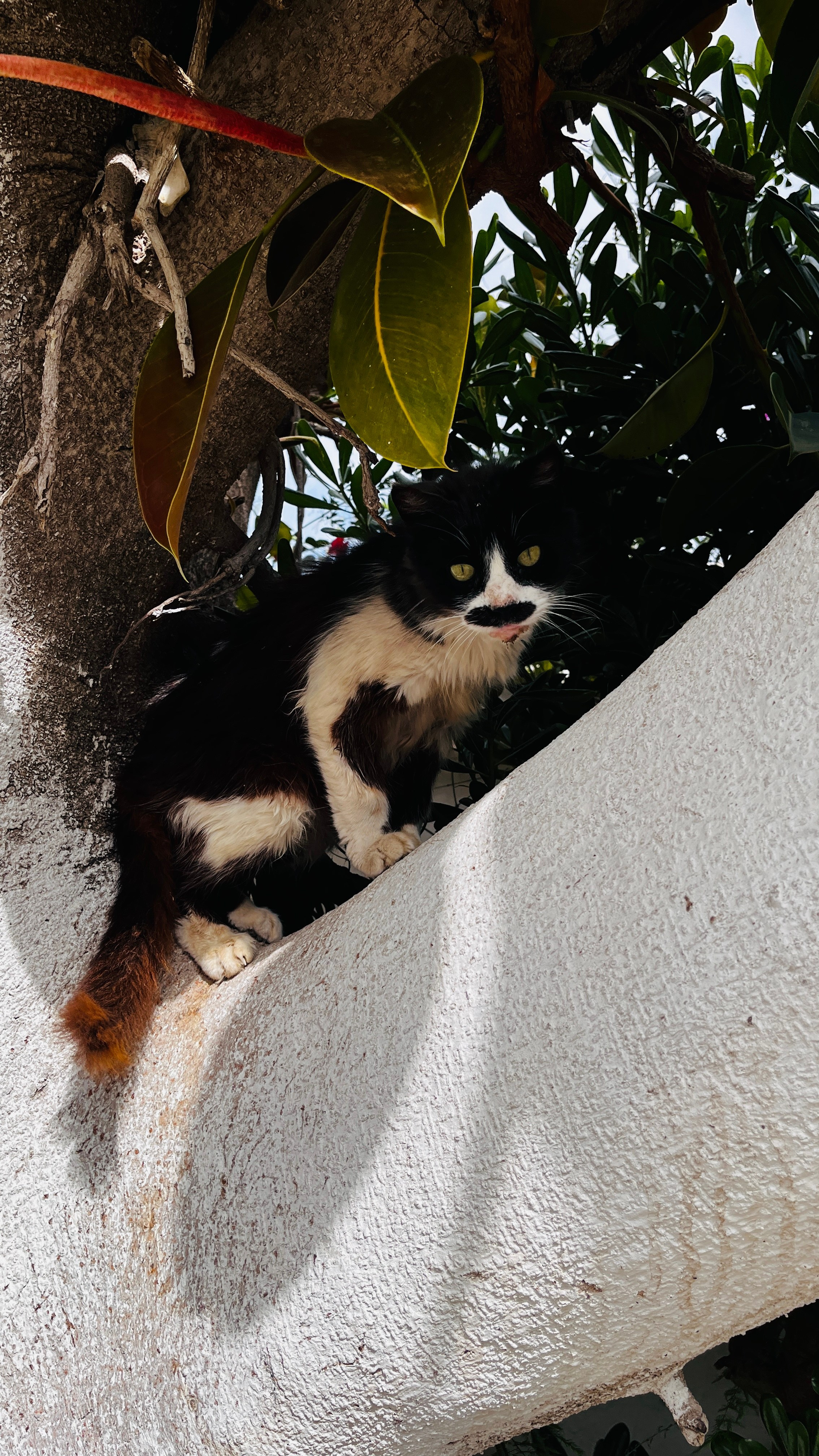Северная Африка: Тунис, Марокко. Фотограф в Хабаровске. Фотография за 24 часа
