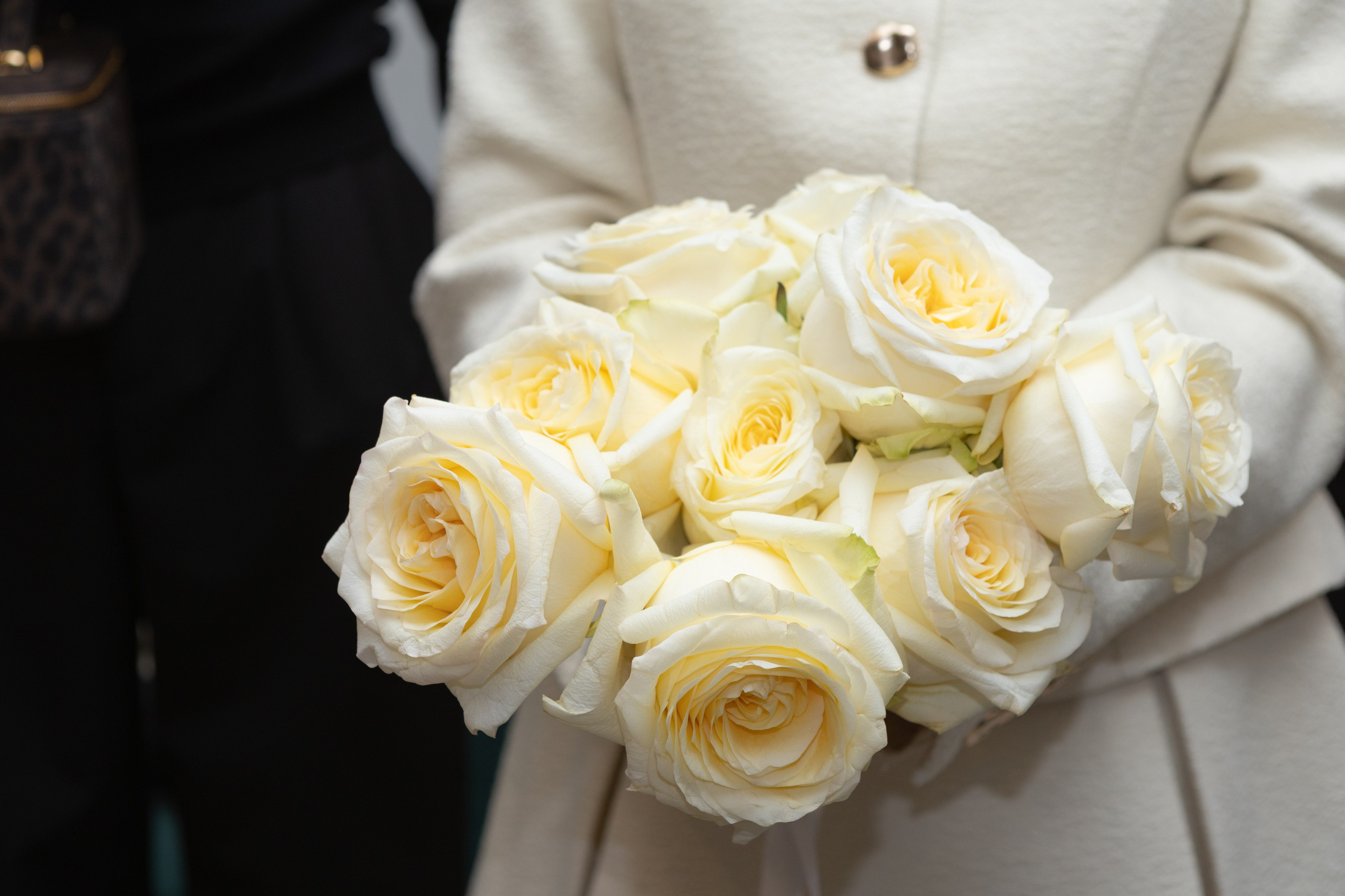 Презентация книги