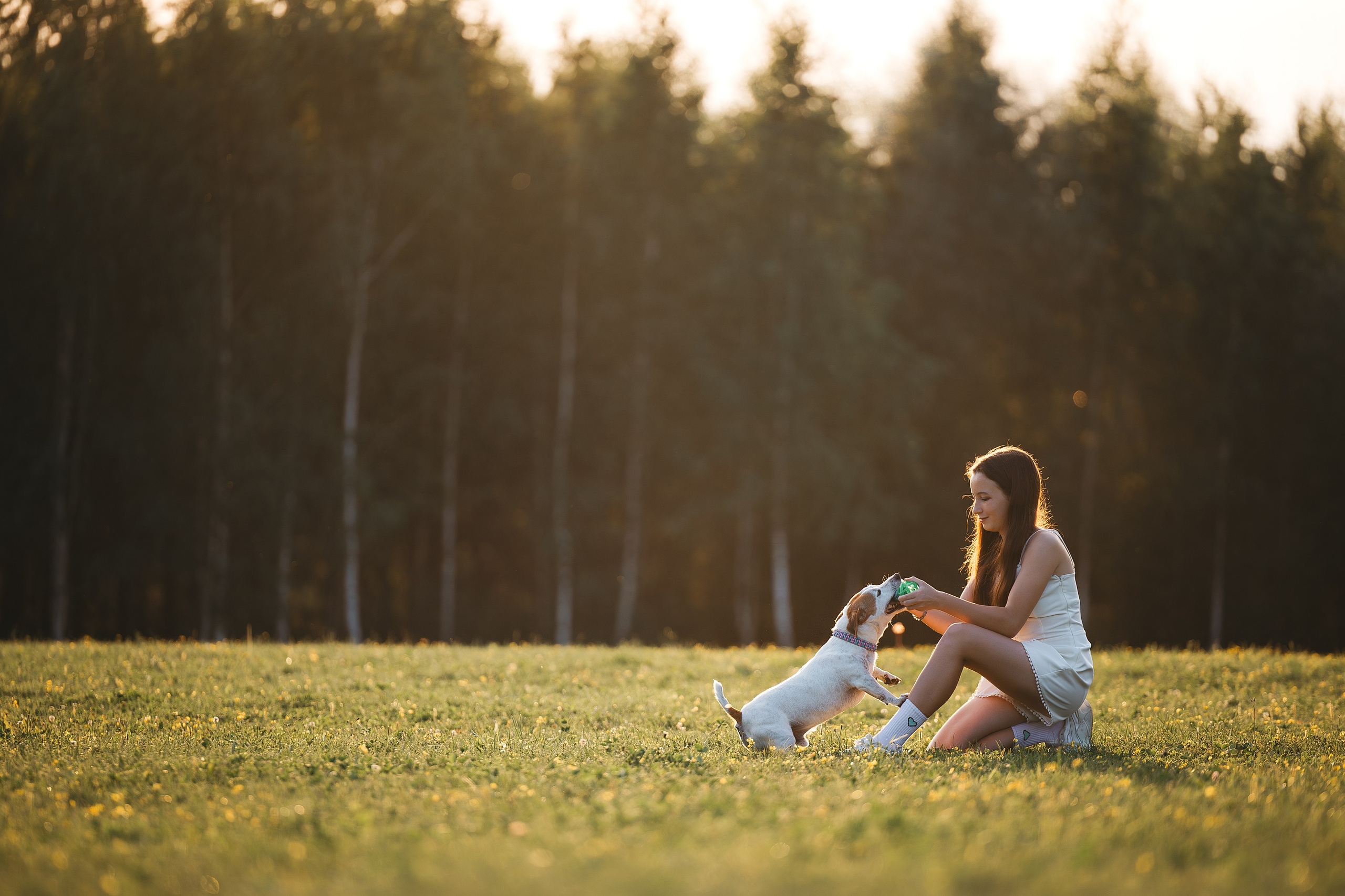 Юлиана и Риф (в обработке). Фотограф Анималист в Москве Анастасия Жучкова