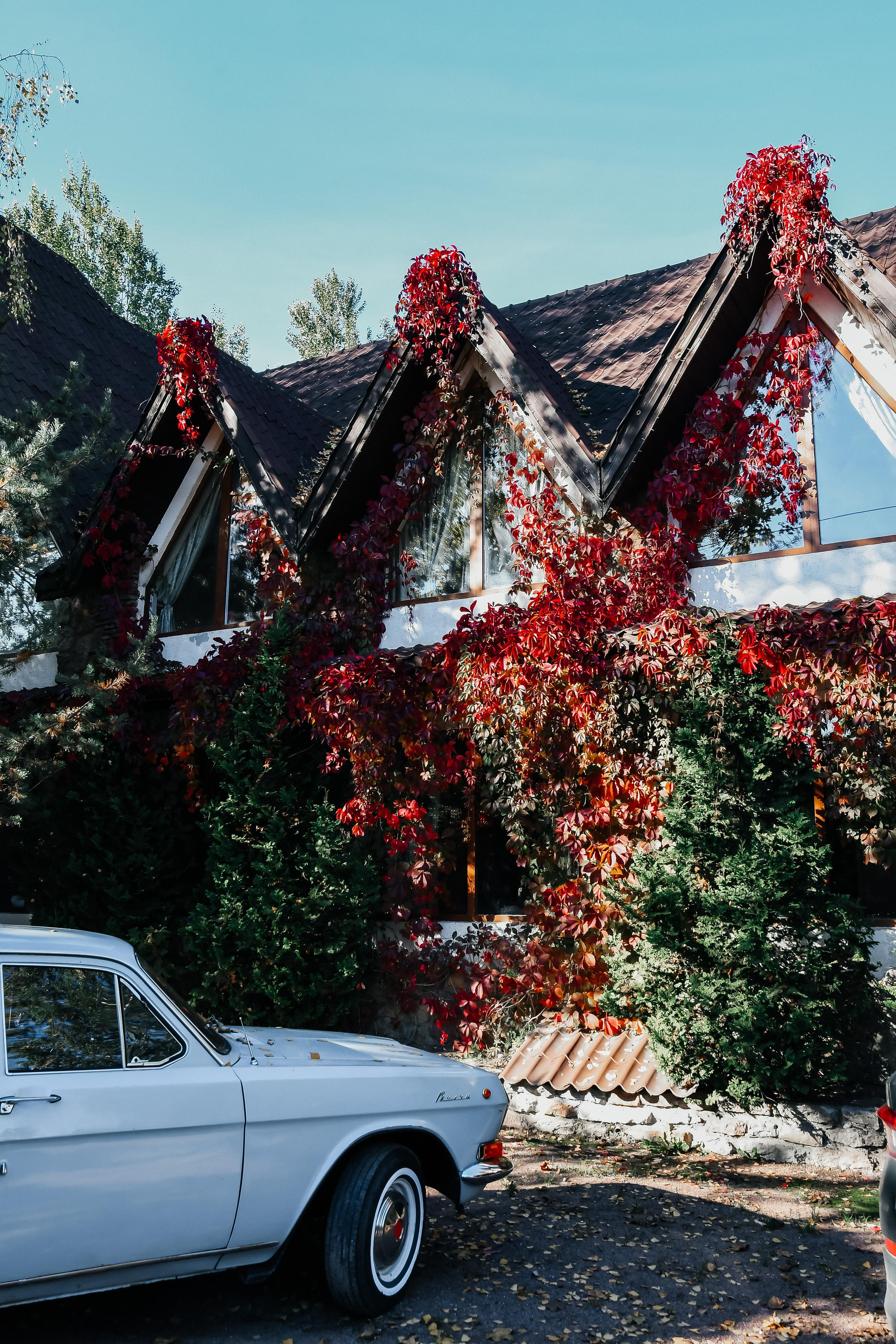 24.09.2022 | Татьяна и Михаил