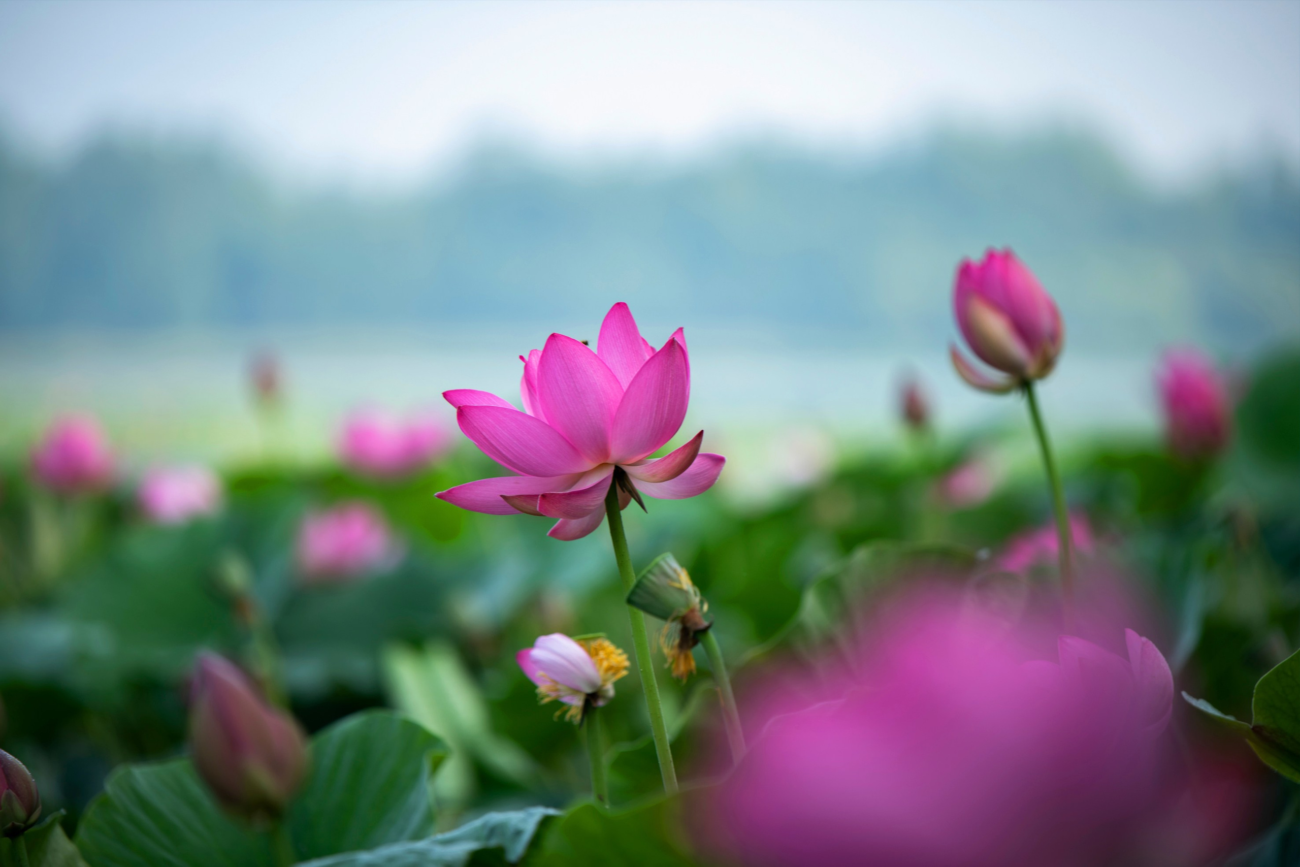 Природа Хабаровского края. Команда фотографов Кристины Ивановой