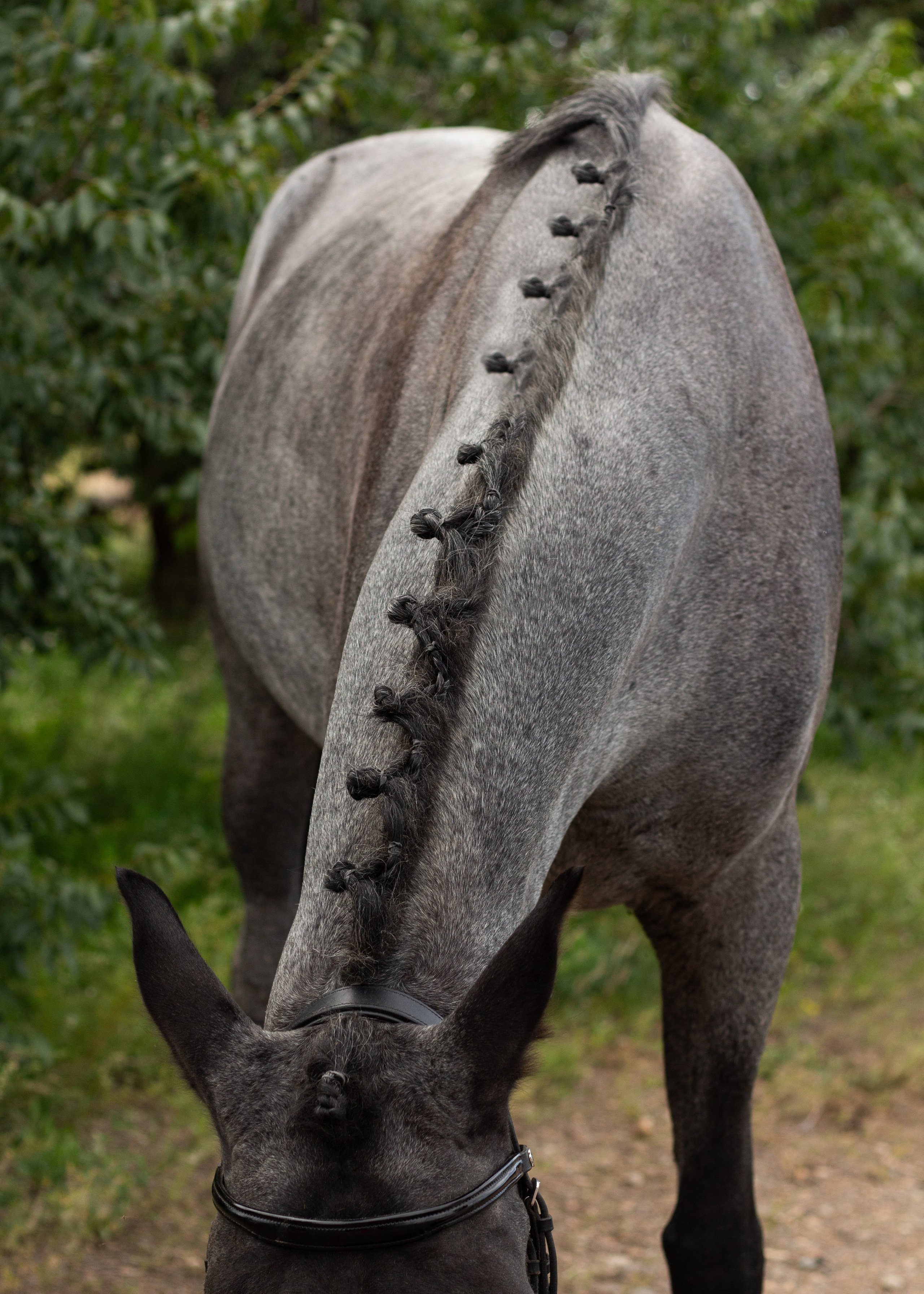 Алина и ЛаГерда. Фотограф в Иркутске, Харитонова Елизавета