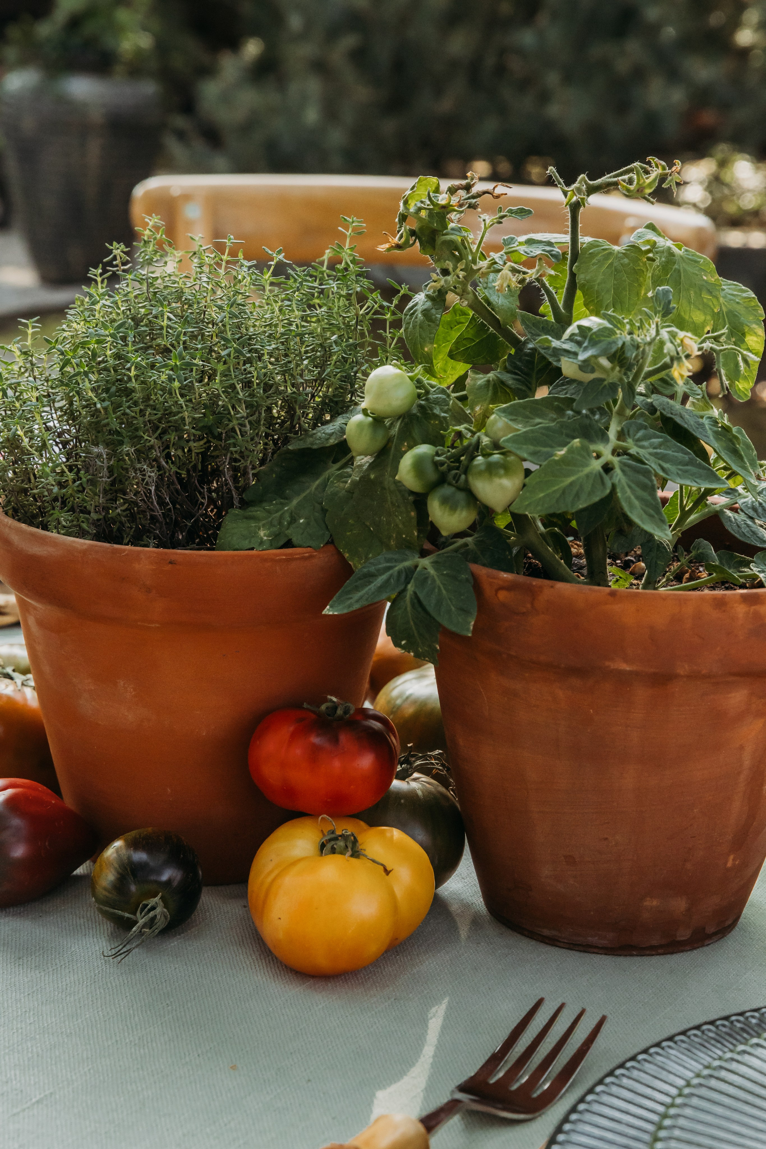 Родные люди «Итальянский день». Леся Гаранина. Семейный фотограф/видеограф Москва и область