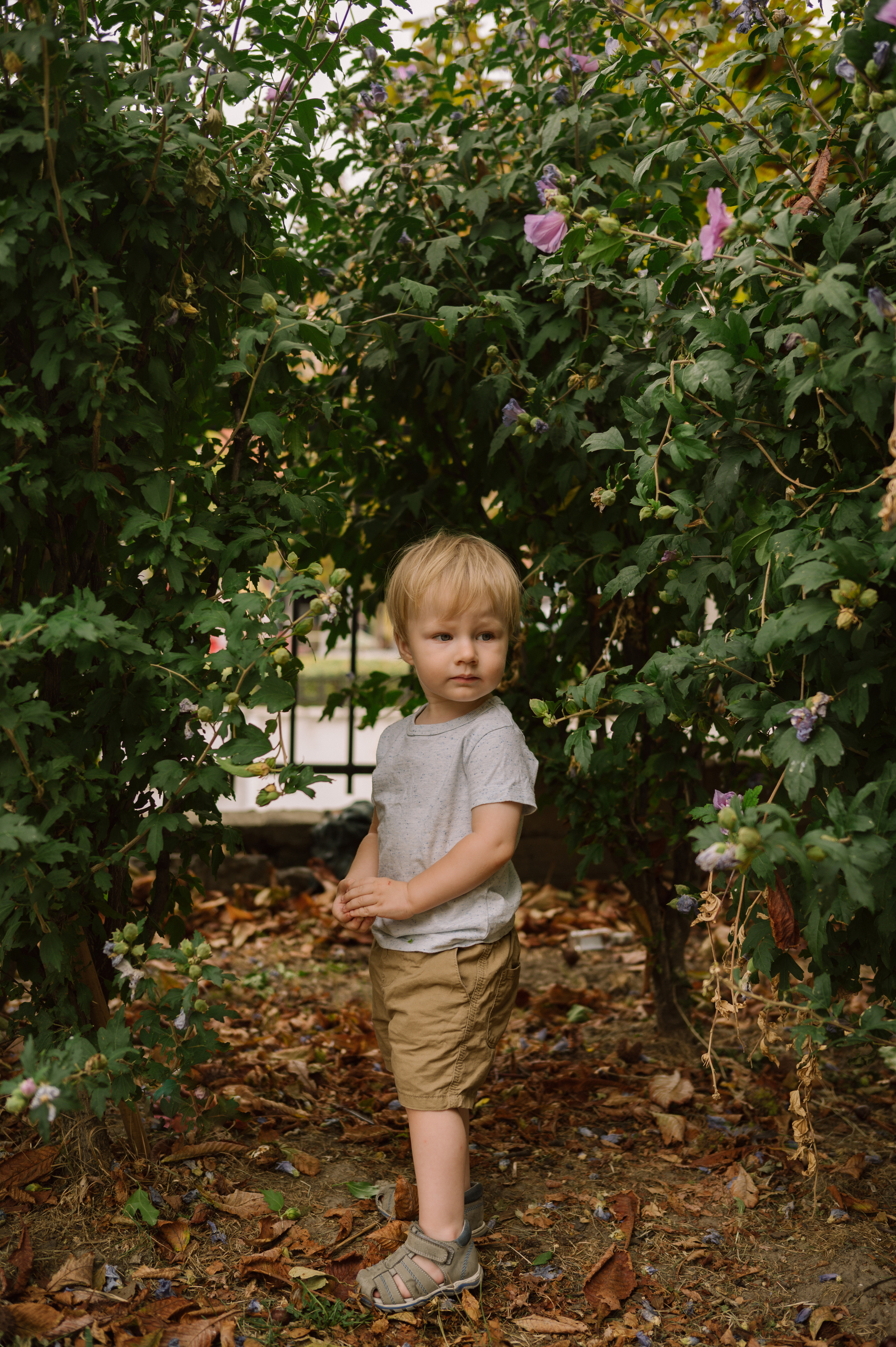 Kamilla & Grisha & Lev. Фотограф Белград — Цветкова Мария