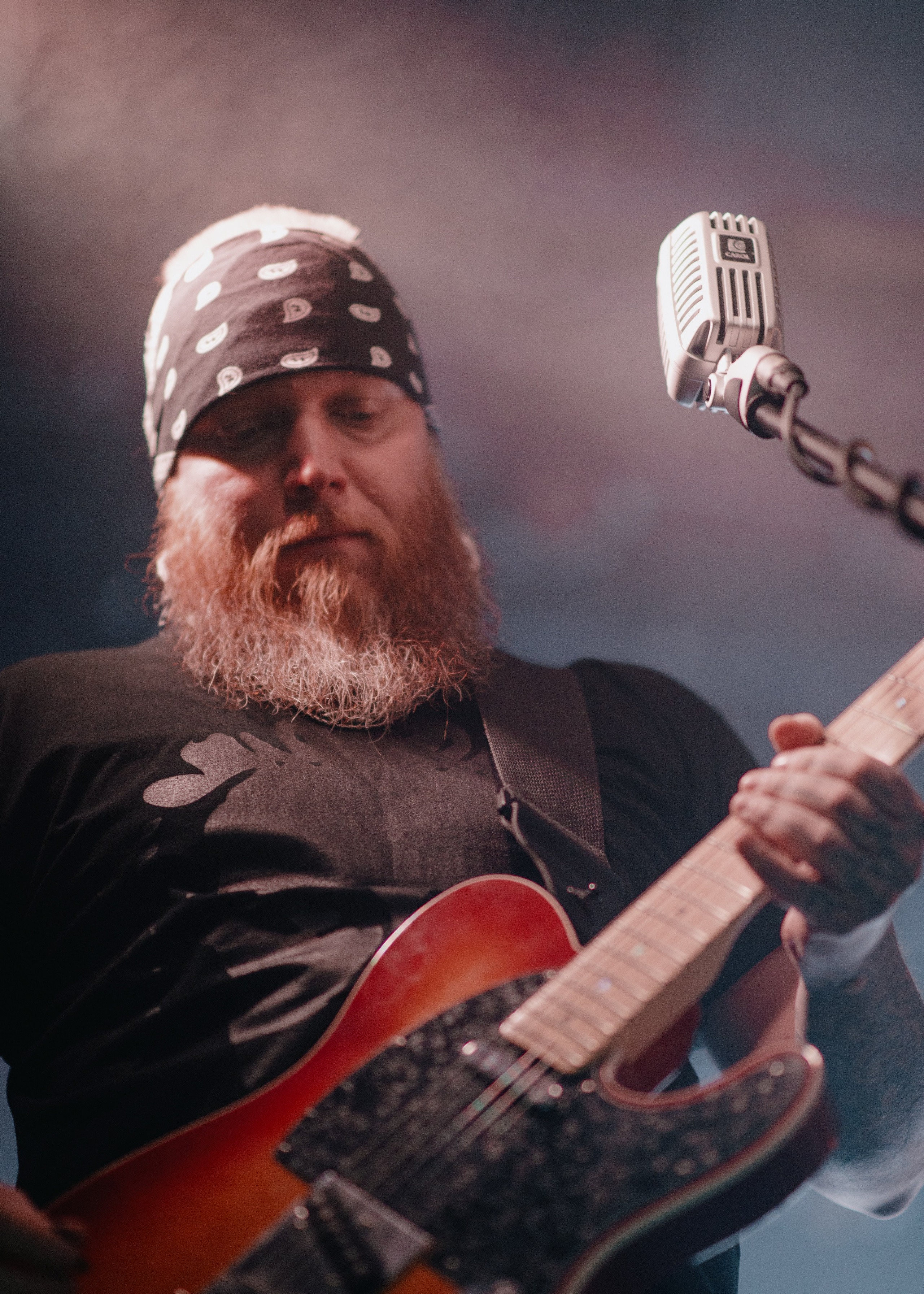 План Ломоносова GAUDI. Контент фотограф Илья Урс