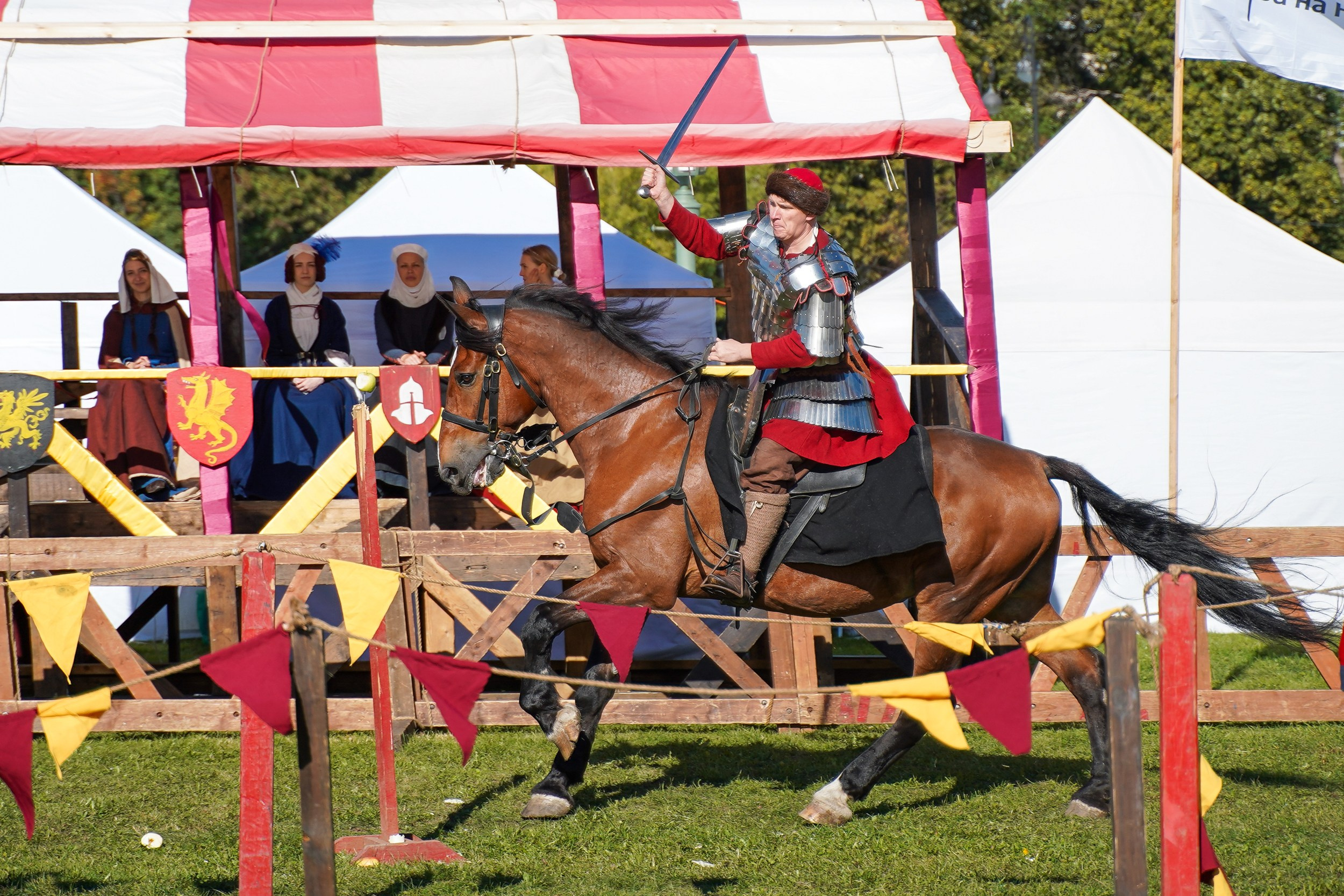 Рыцарский турнир в рамках фестиваля «Битва на Неве» Санкт-Петербург 2024 г. Фотограф-анималист, портретный фотограф в Чебоксарах Мария Садыкова