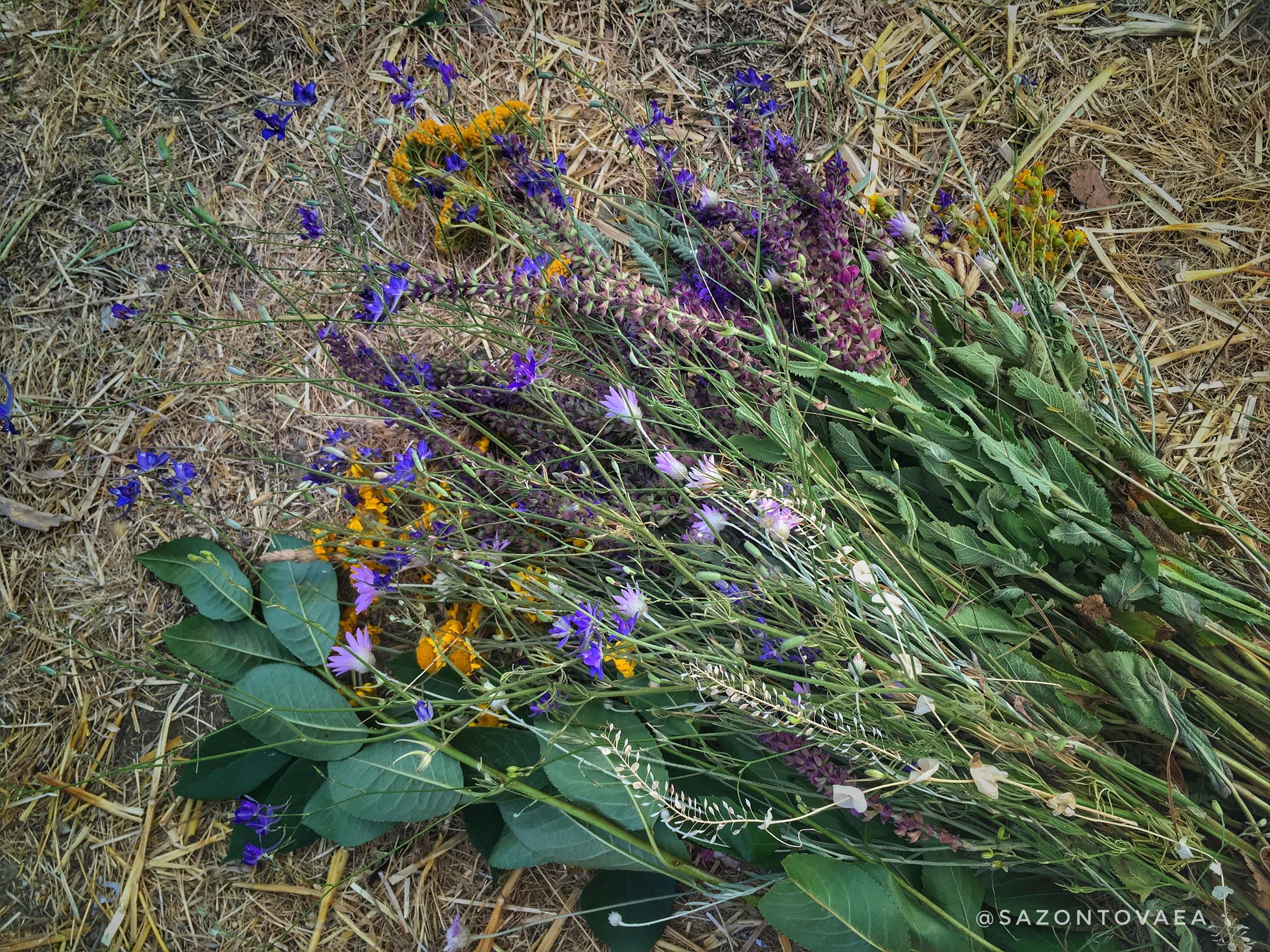 Чувства. Контент-фотограф Рязань/Москва/Санкт-Петербург/Сочи Елена Сазонтова