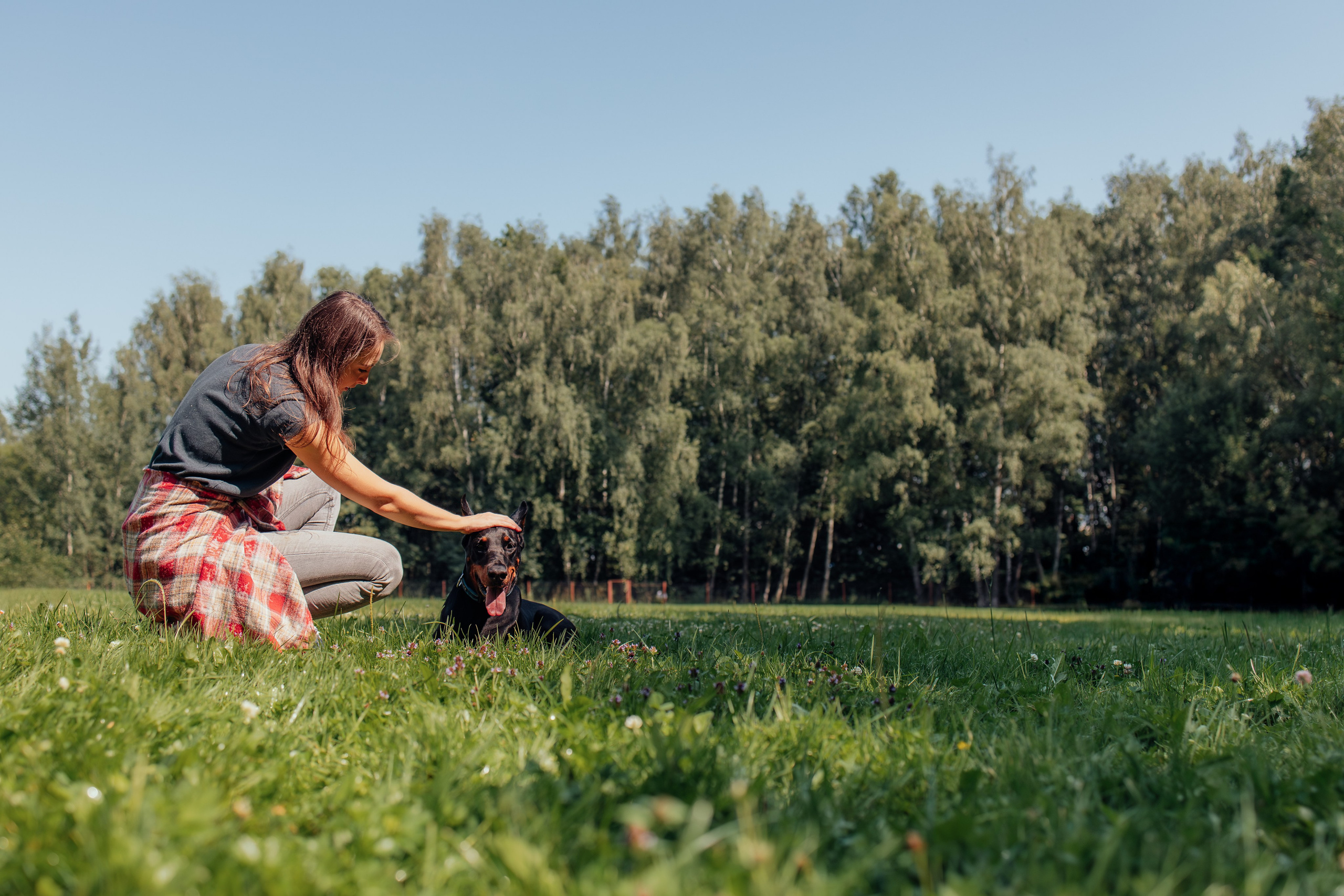 Доберман Айза. Фотограф Анималист в Москве Анастасия Жучкова