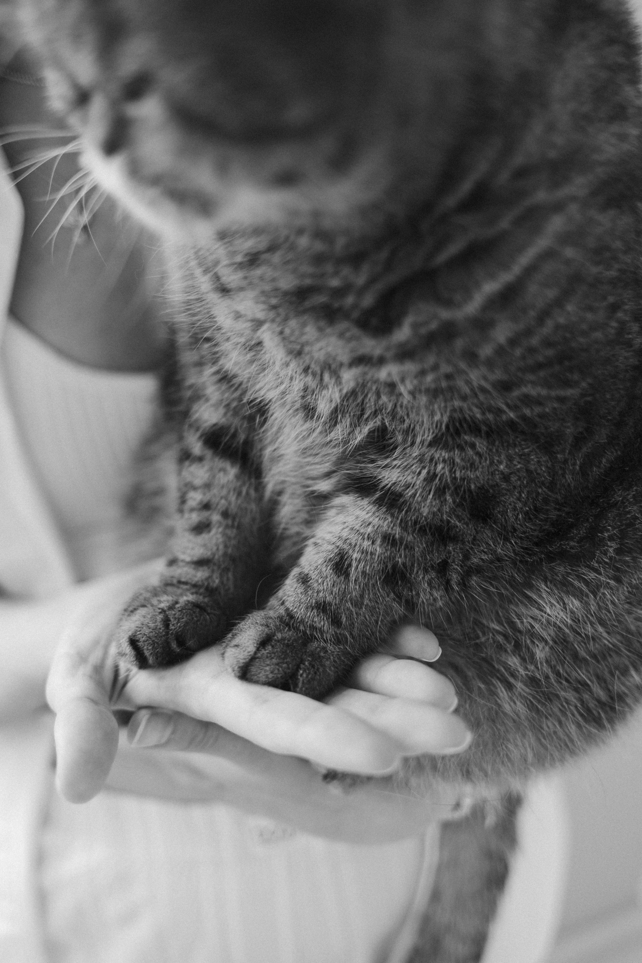 Самый первый месяц жизни. Семейный фотограф в Москве