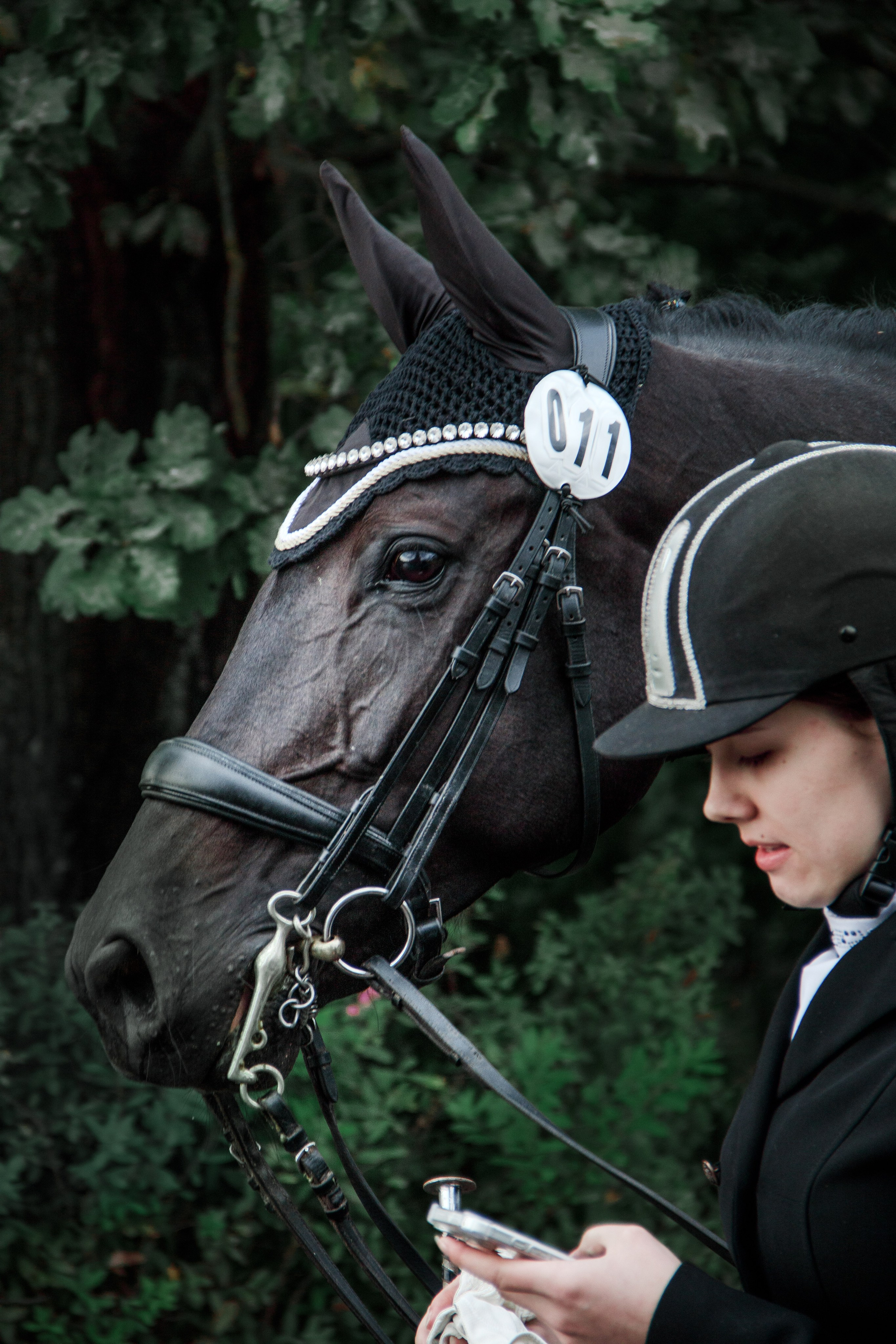 Animals. Фотограф/Видеограф