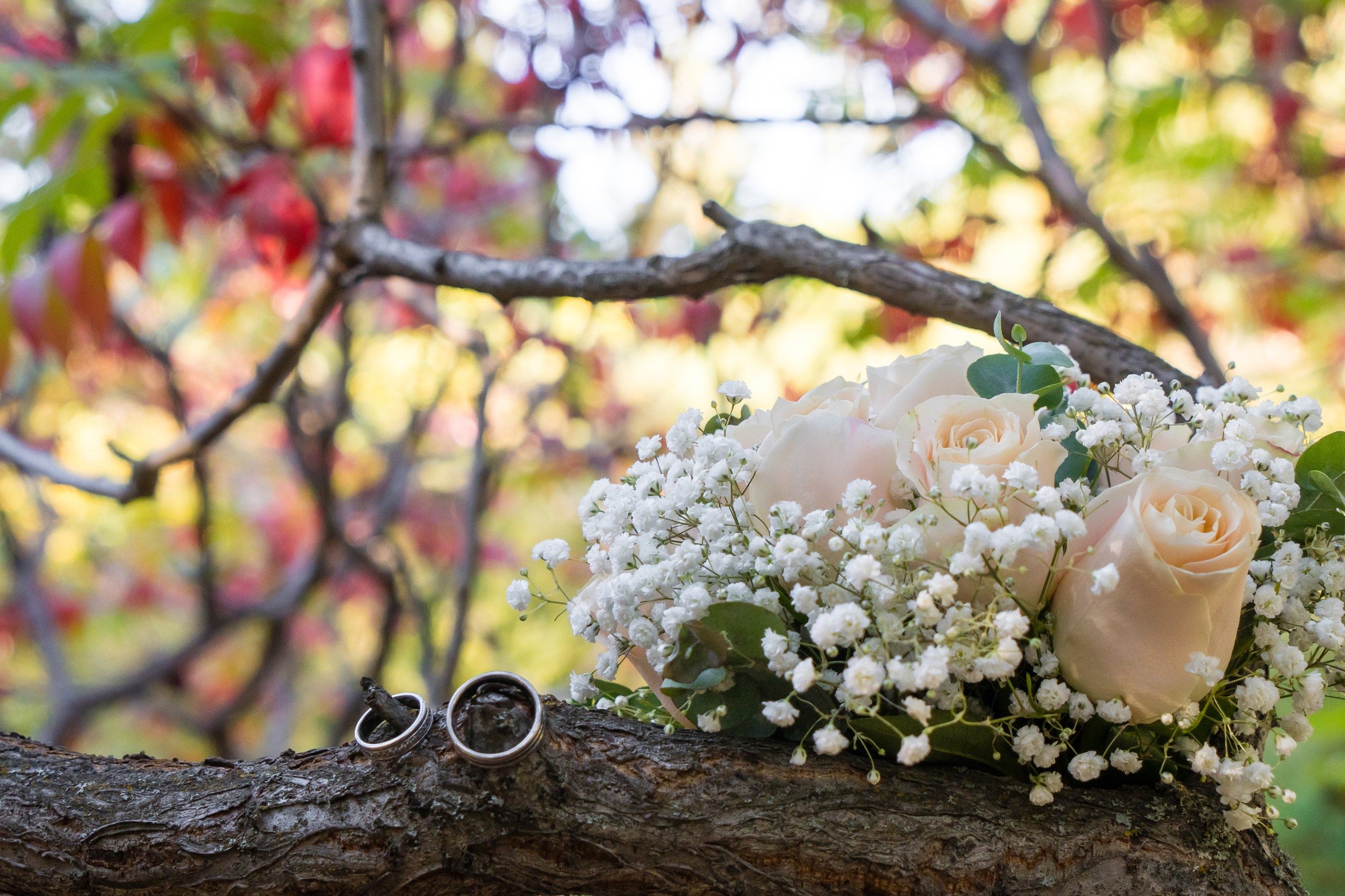 Ксения и Александр: поженились и погуляли в парке санатория Горная поляна. Событийный фотограф Максим Бескоровайновнов