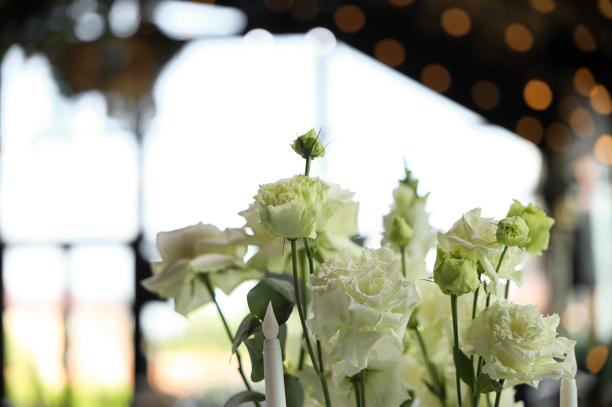 Александр и Галина | Ранчо wed. Свадебный фотограф Москва