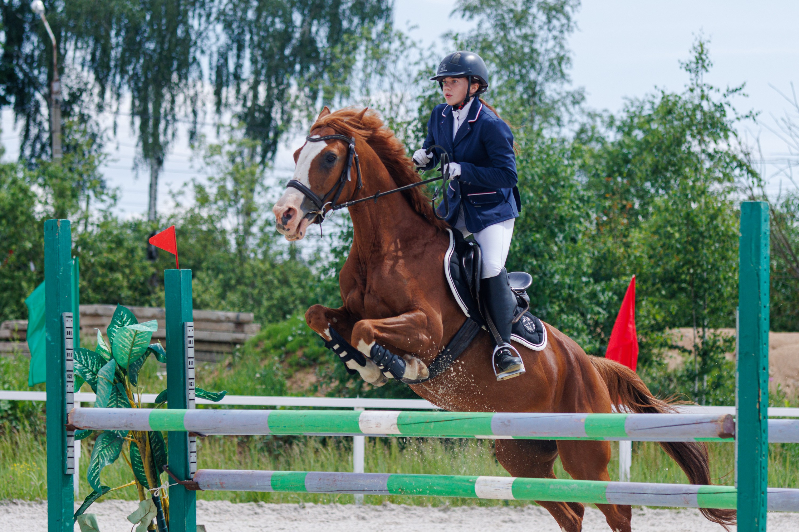Конный спорт. Спортивный фотограф Вадим Добедченков