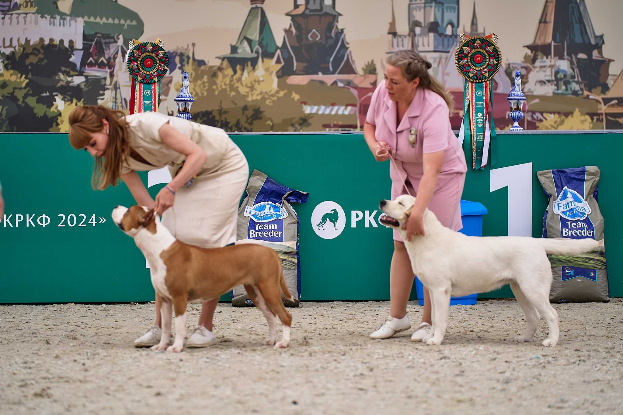 09.06.2024, «РОССИЯ. КУБОК МОСКВЫ 2024 & КУБОК ГОРОДОВ-ГЕРОЕВ»