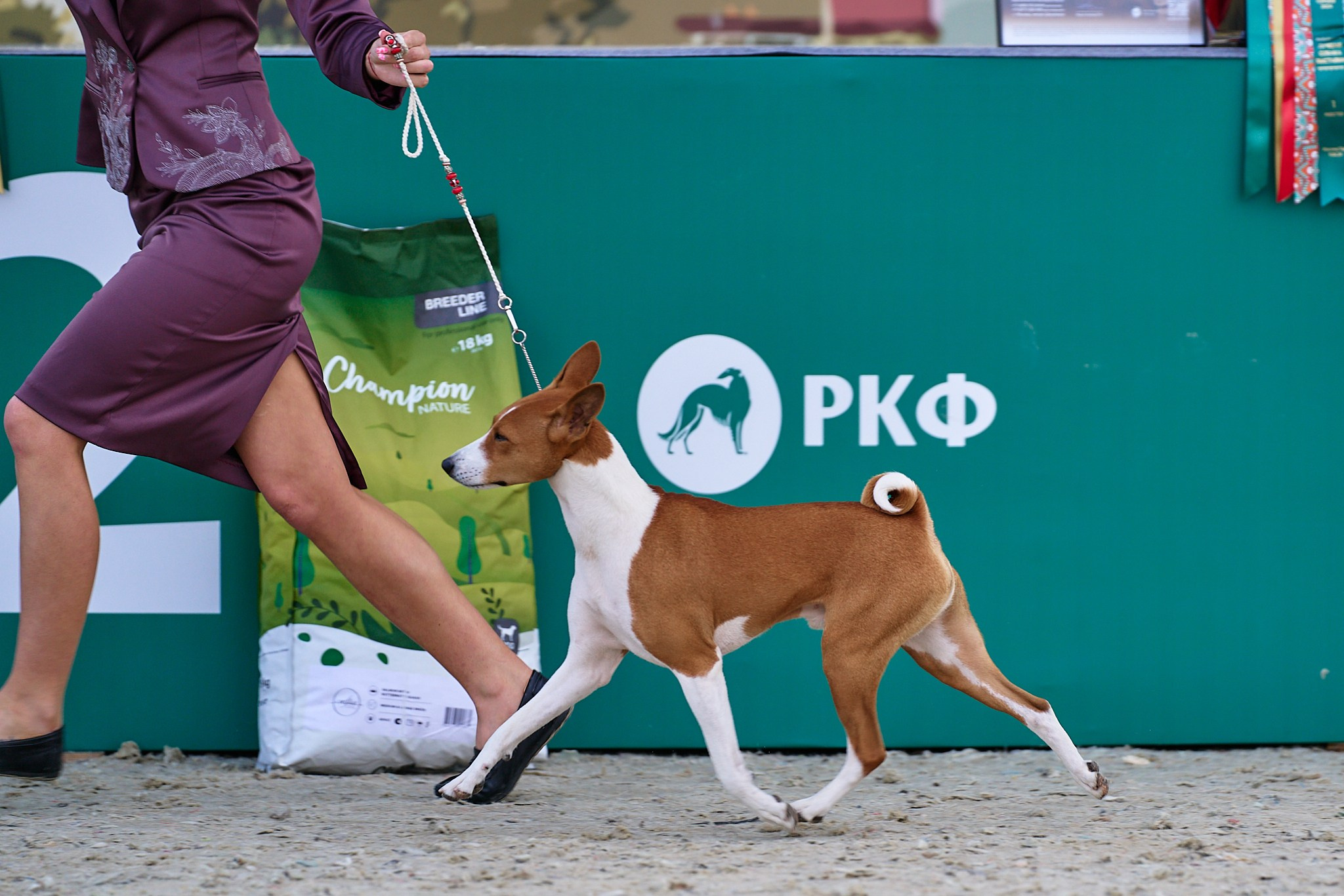 09.06.2024, «РОССИЯ. КУБОК МОСКВЫ 2024 & КУБОК ГОРОДОВ-ГЕРОЕВ»