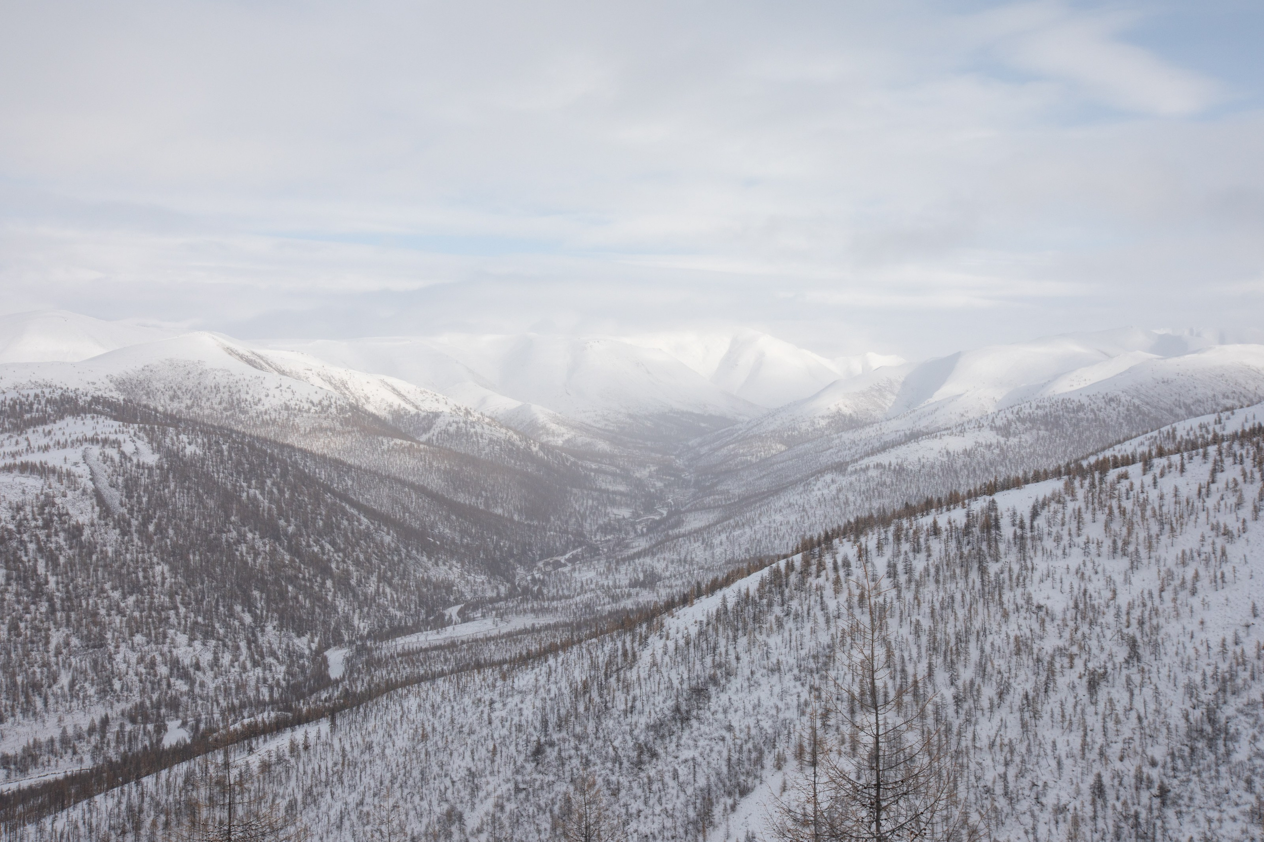 Не забудь накормить озеро. Natalya Madilyan