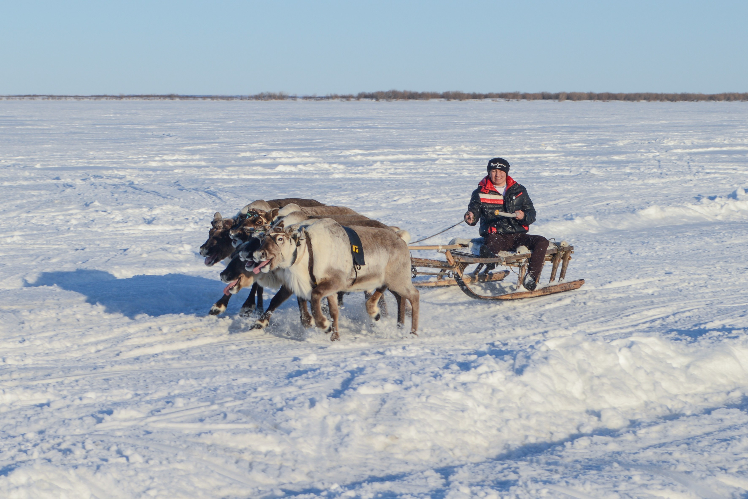 Вокруг нас. Фото — видео Тюмень
