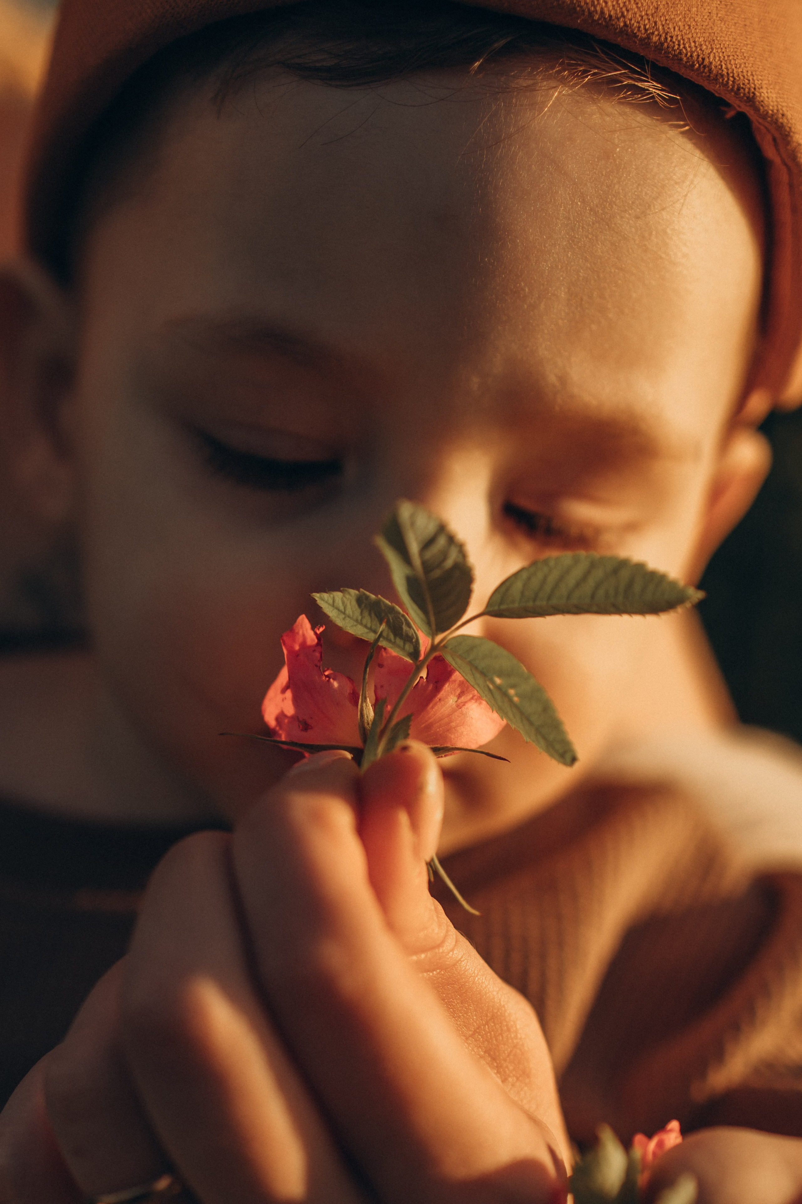 Летний закат. Альбина Казачихина — Семейный фотограф — Казань