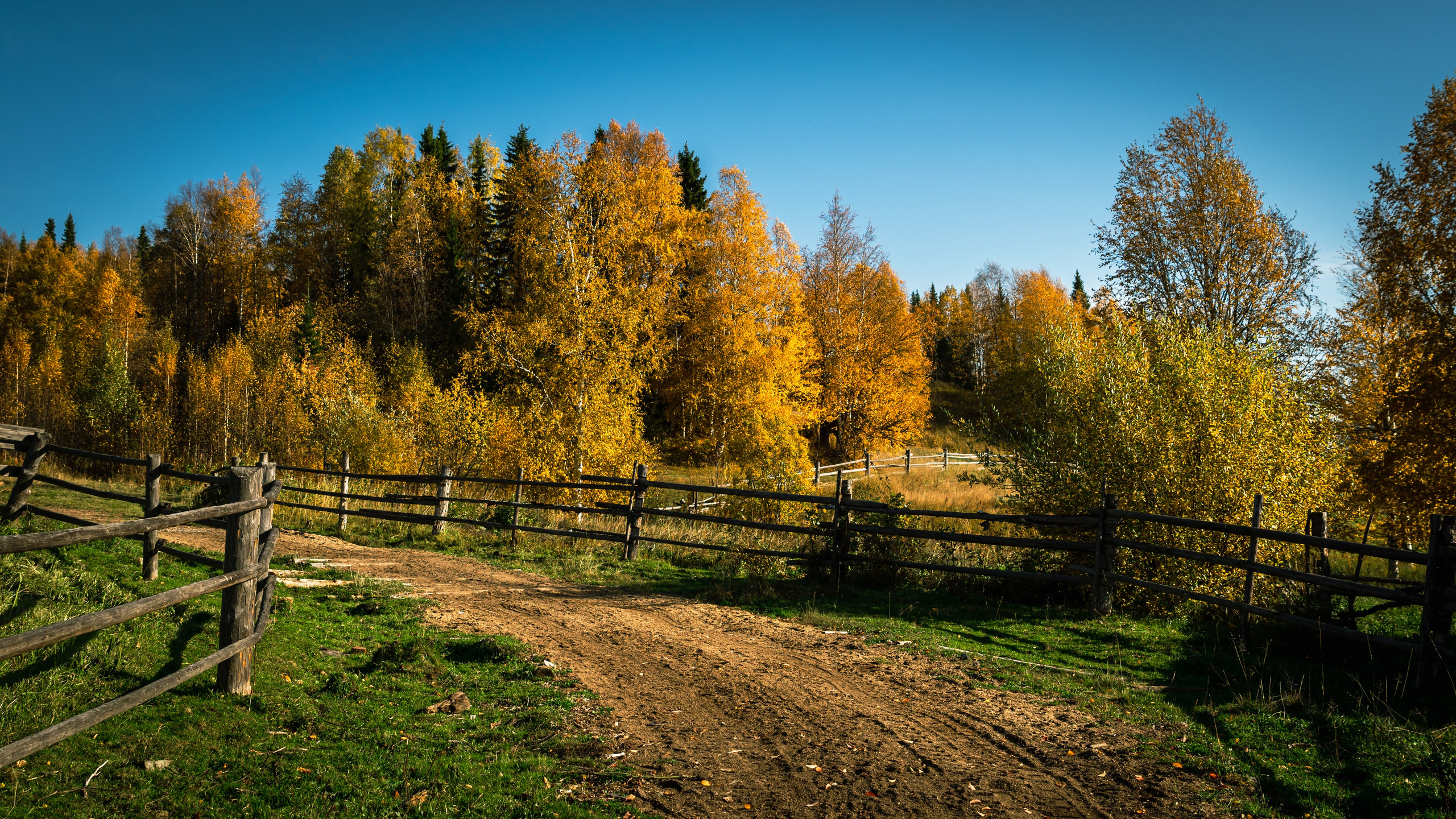 Осень. Фотограф в с. Ижма Республика Коми Терентьев Сергей