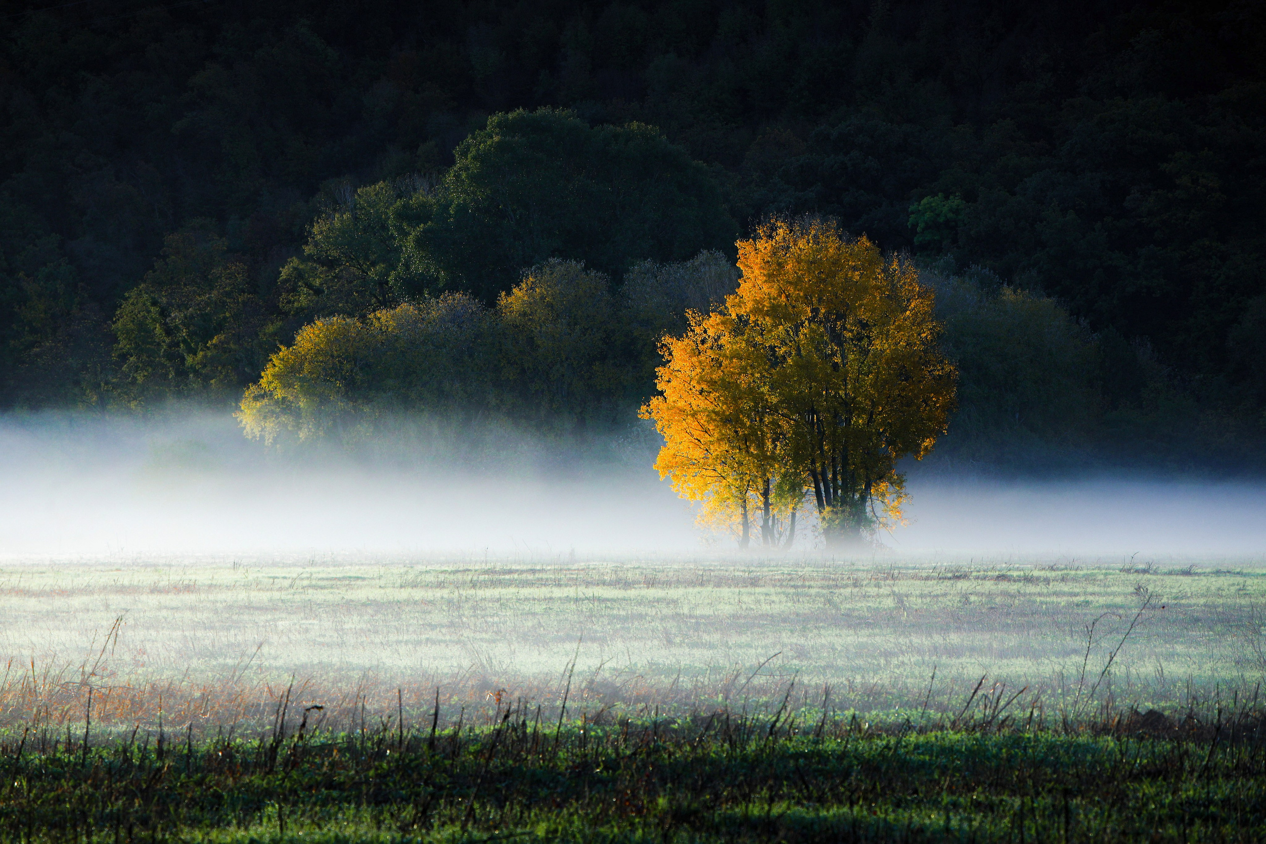 Природа. Глеб Захаренко — спортивный и репортажный фотограф в Крыму