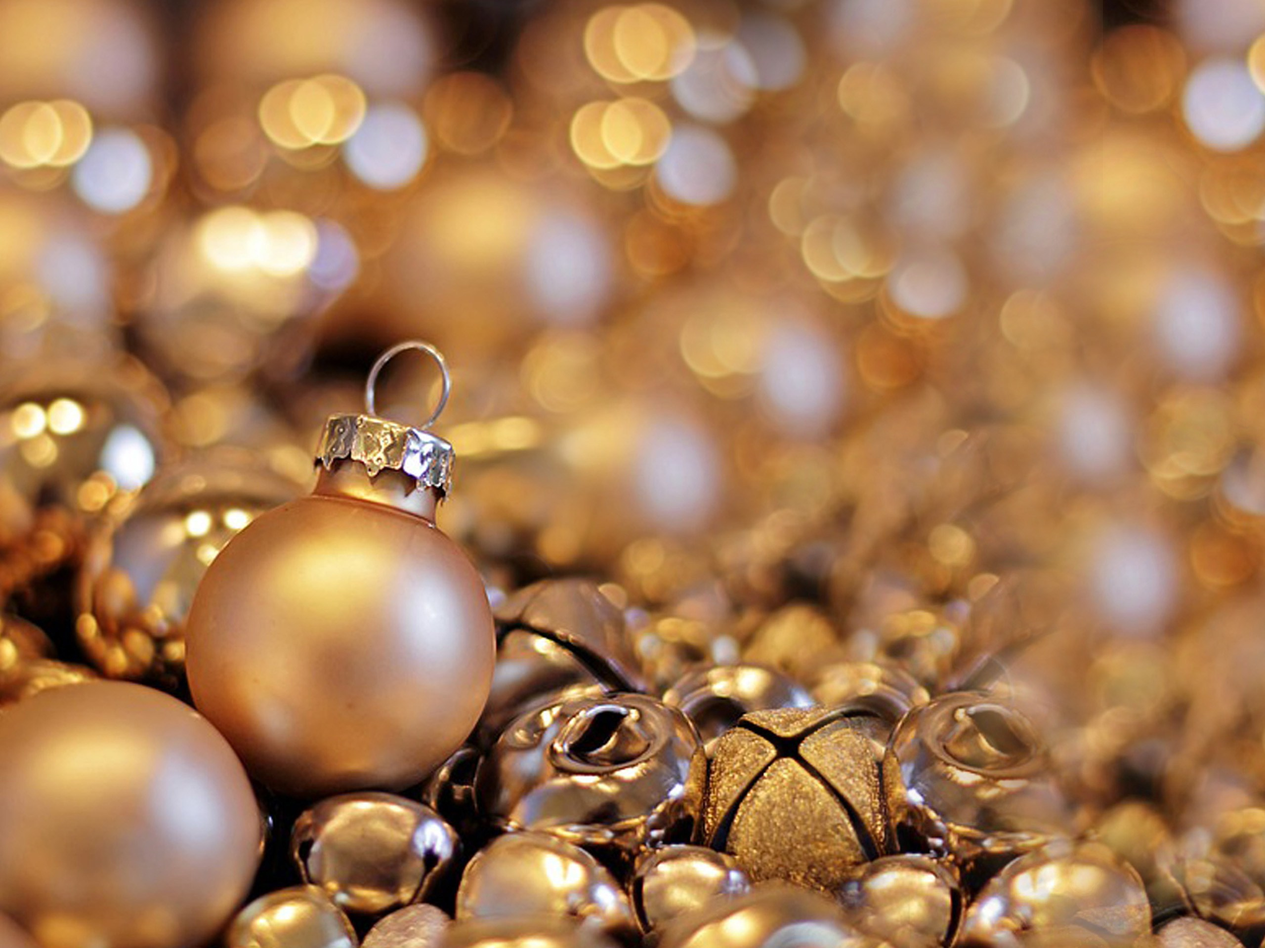 НОВОГОДНИЙ КОРПОРАТИВ. Школьный фотограф Минск