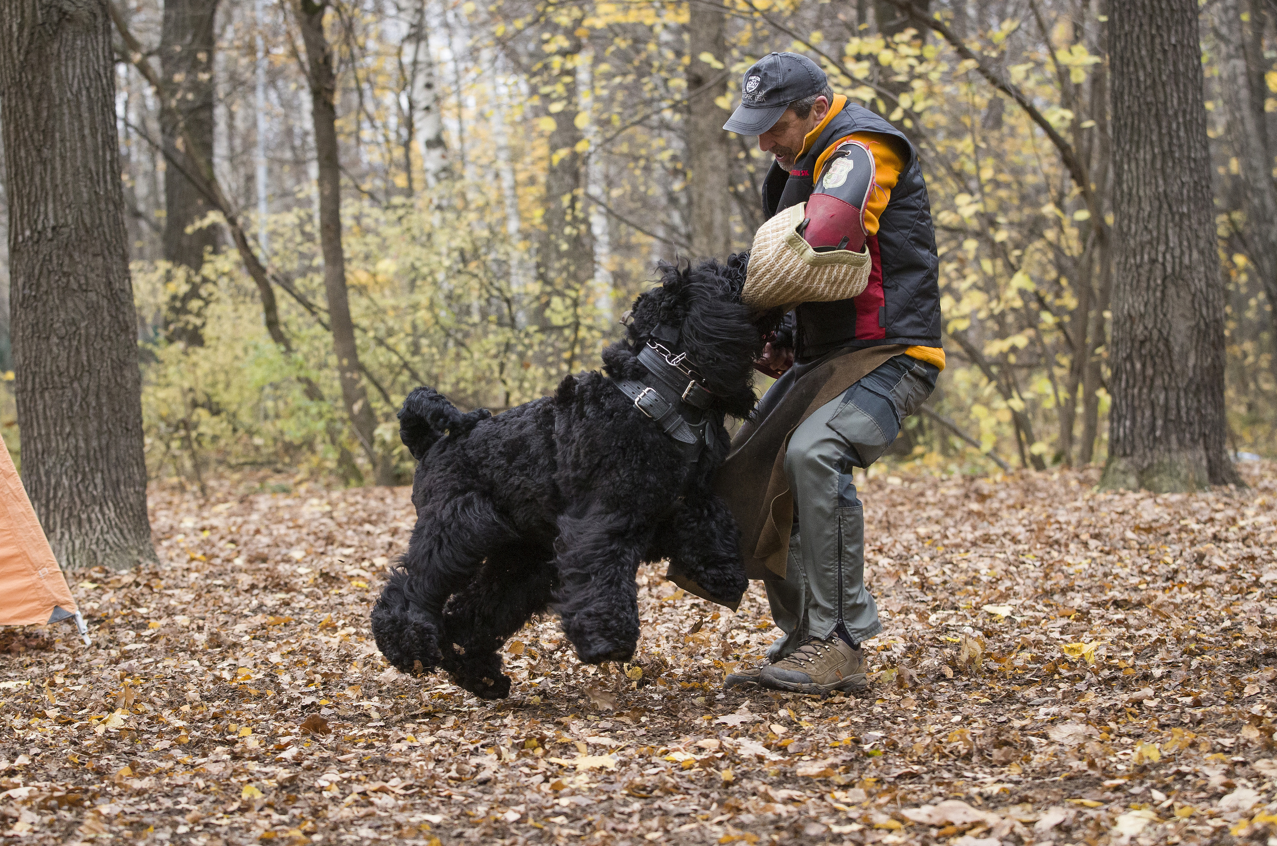 МАШЕНЬКА. Борис Артамонов фотограф — анималист. Москва