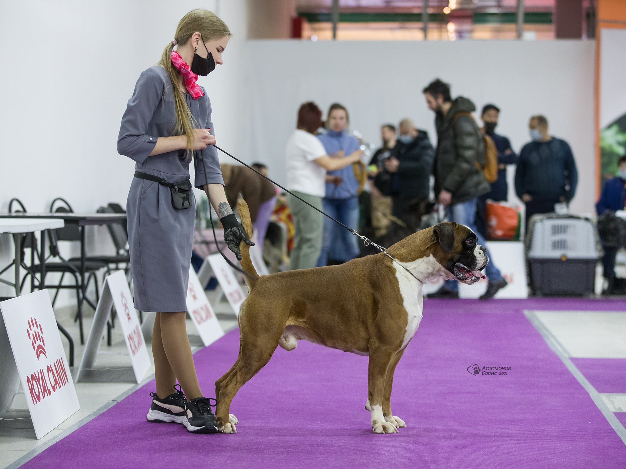 Борис Артамонов фотограф — анималист. Москва
